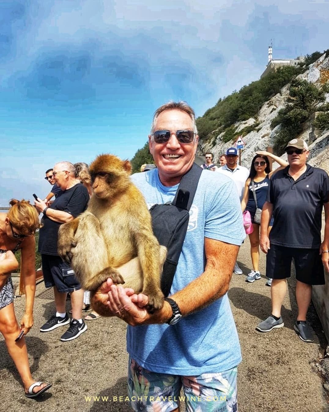 gibraltar monkey 5.jpg