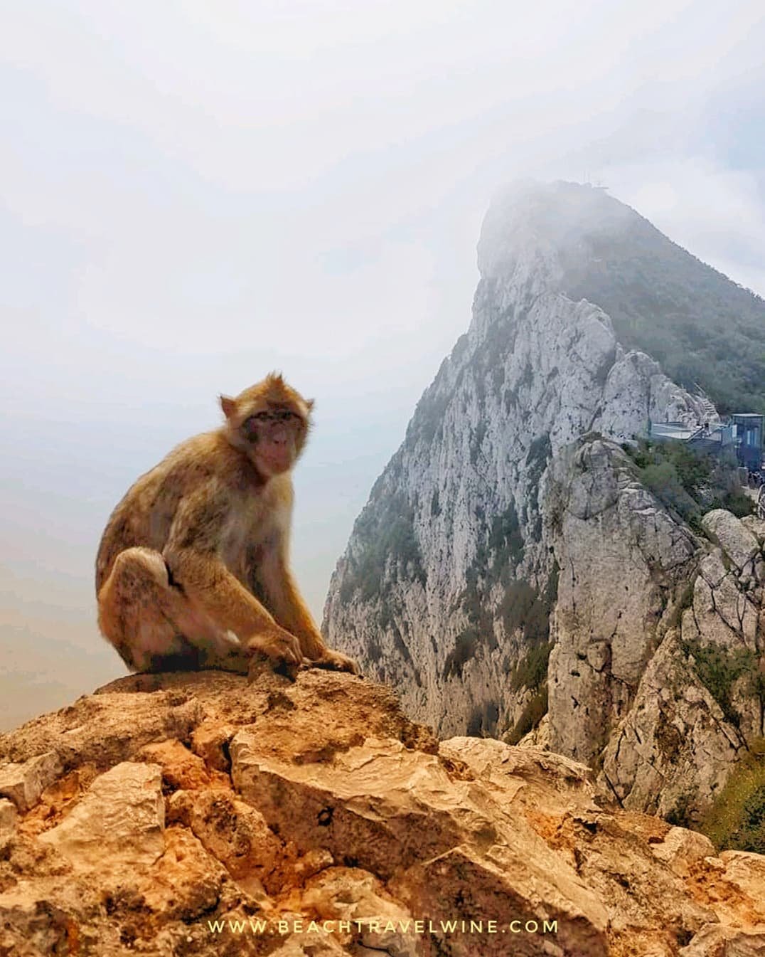 Gibraltar. The Top things to do in Gibraltar. Travel To Gibraltar.
