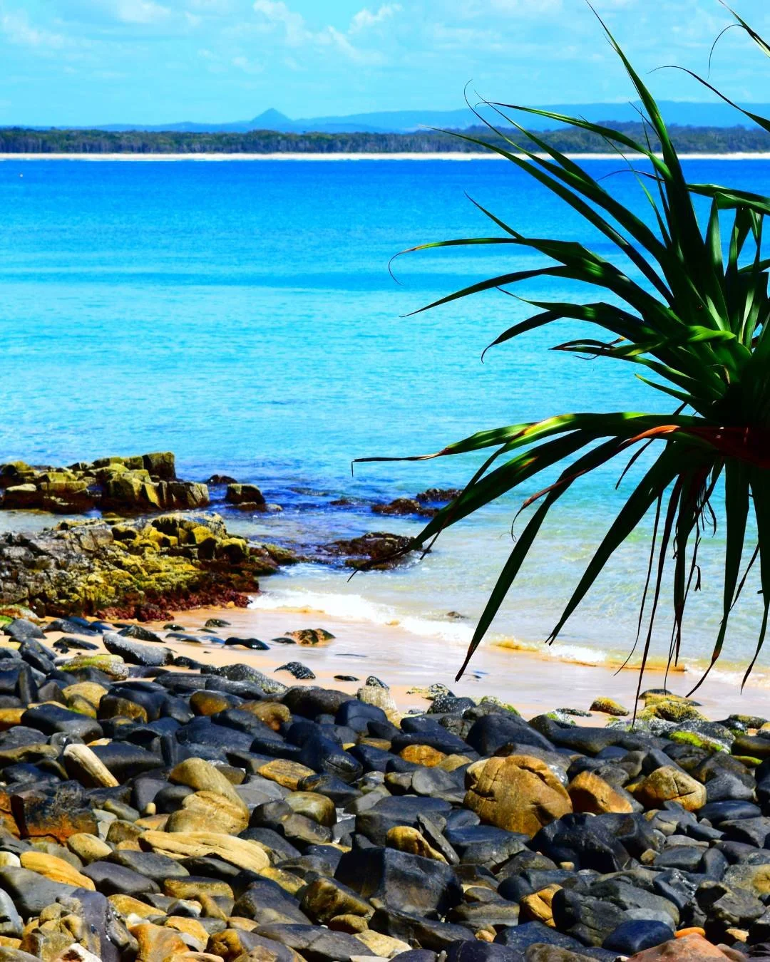 Noosa. Travel to Noosa Heads in the Noosa Shire, Queensland, Australia.