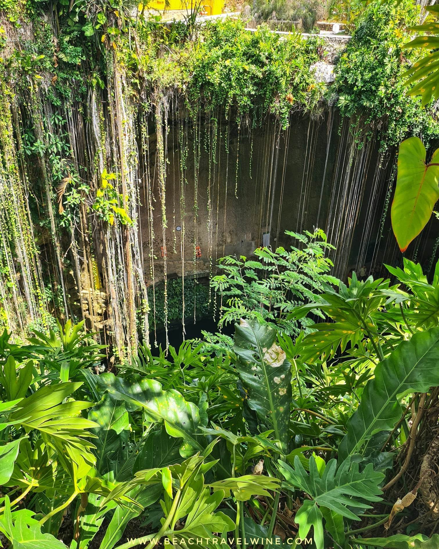 mexico cenote 2.jpg