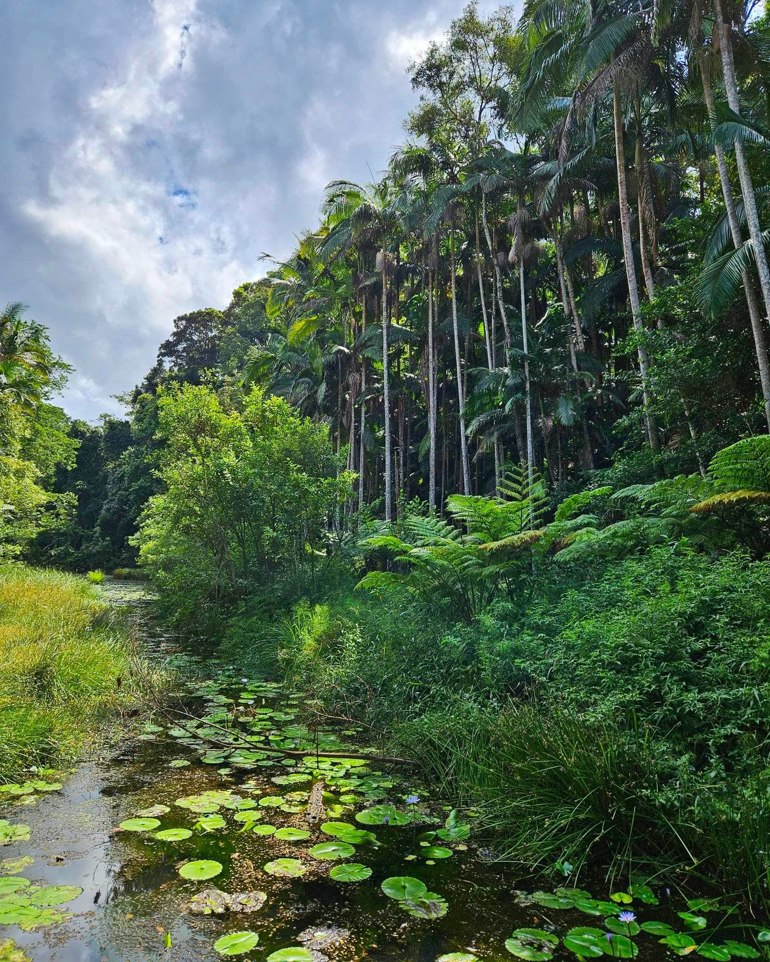 bangalow rocky dam 1.jpg