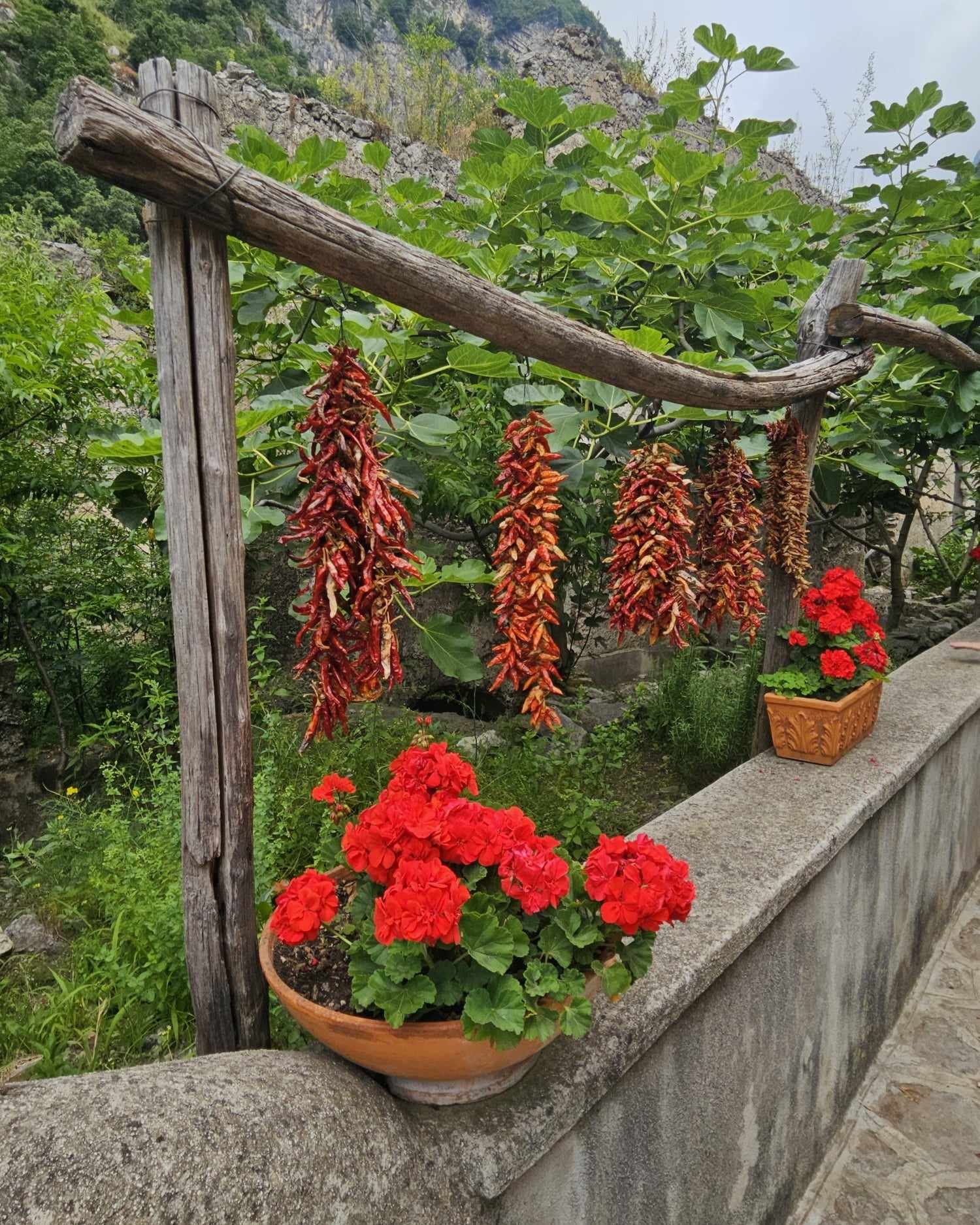 amalfi hike 7.jpg