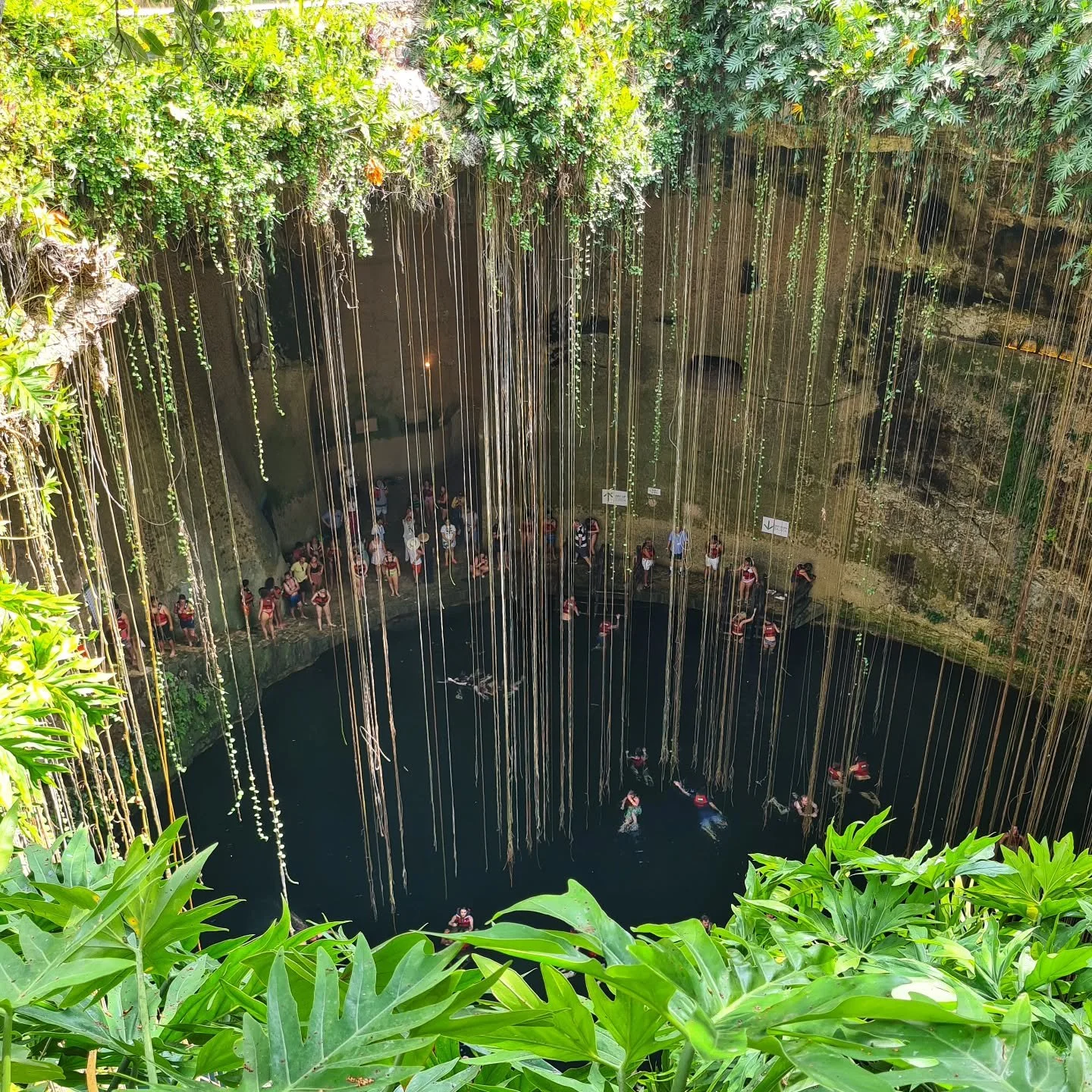 Picture of the day #9
What a memory. Walking down in to this spectacular cenote and then actually swimming in the clear cool waters.
This is Cenote Ik Kil on the Yucatan Peninsular in Mexico.