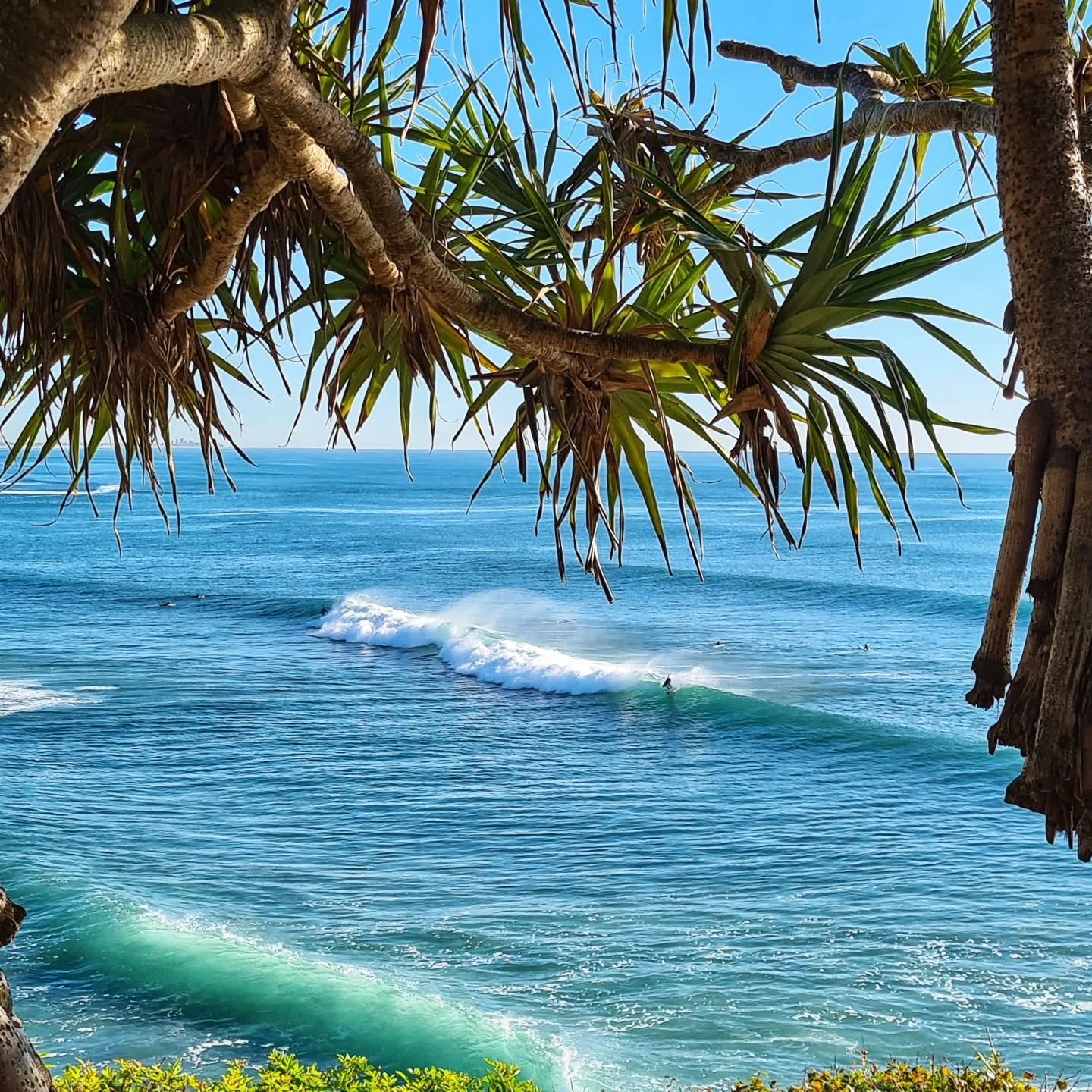 Pic of the day #12
Home sweet home. 
This is from Moffat Headland on the Sunshine Coast, Queensland. 
We are lucky to live in one of the most beautiful places in the world.