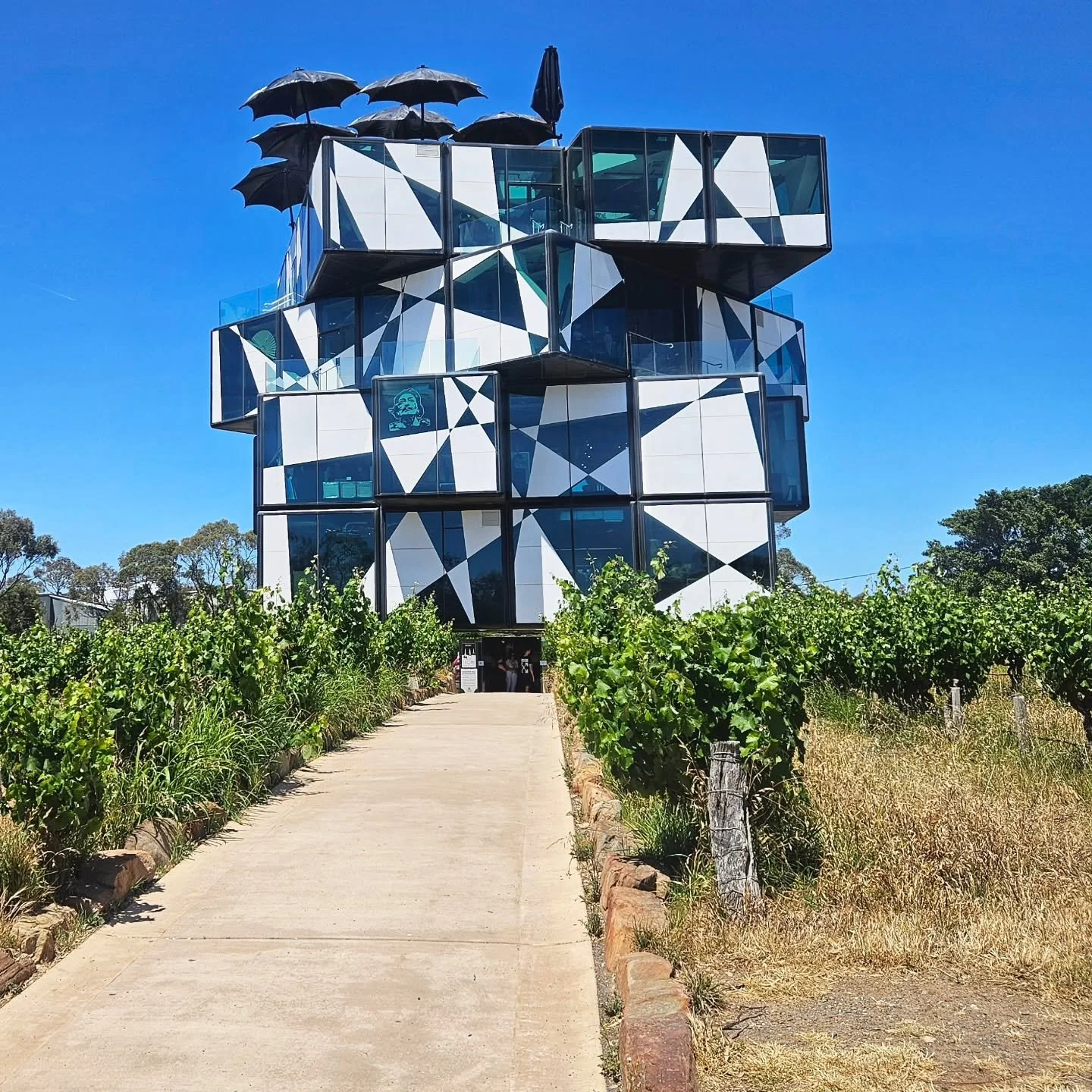 Pic of the day #14
Can you guess what this is??
This 5 storey cube building is D'arenburg winery and tasting rooms in McLaren Vale Wine Region, South Australia.