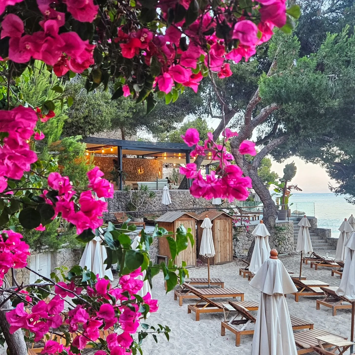 Pic of the day #23
A popular beach club in Mallorca