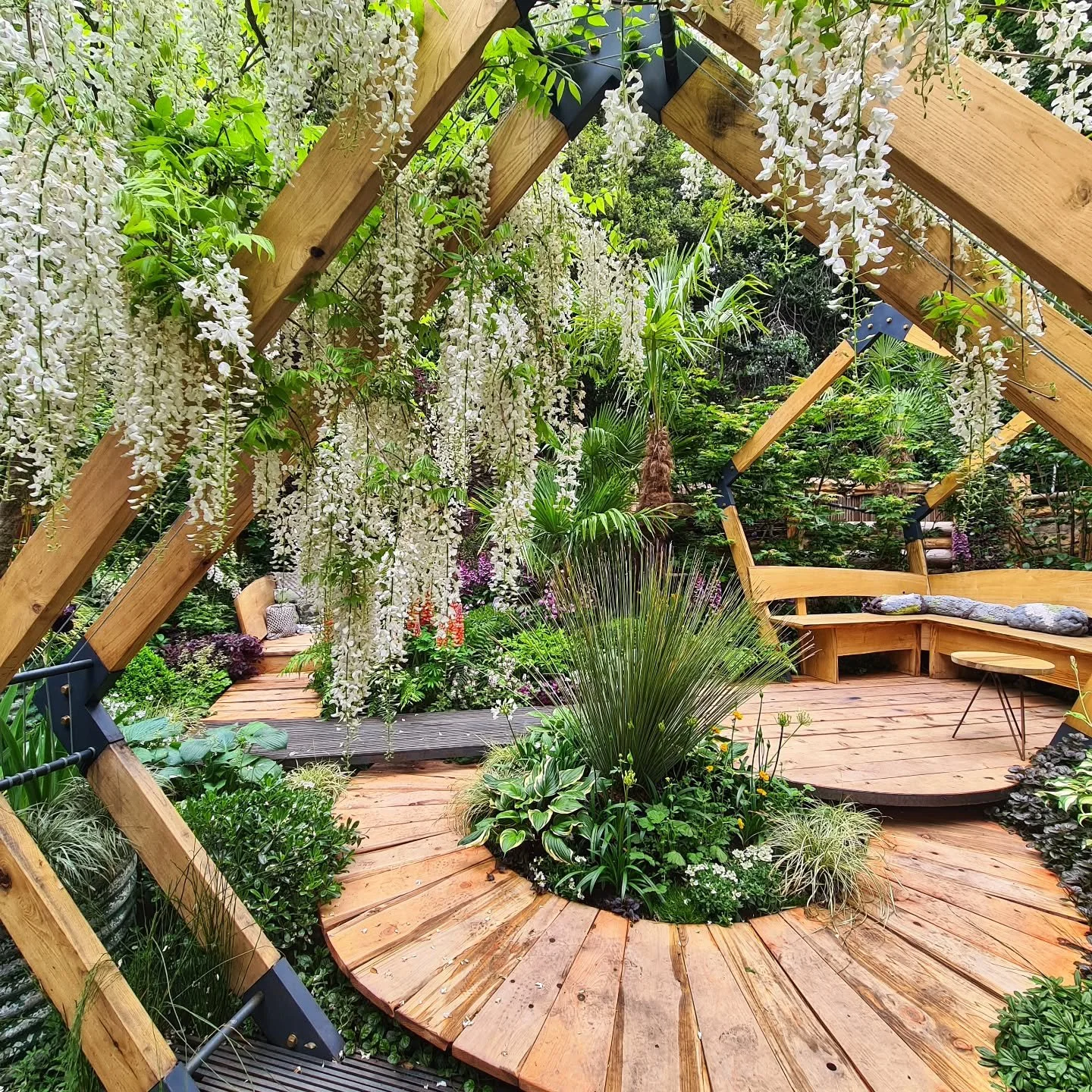 Pic of the day #28
This is from my bucket list visit to the Chelsea Flower Show. 
We had the best day, such spectacular displays and the champagne and Rose bars were fabulous. Highly recommend. Loved it so much and hard to choose only one picture.