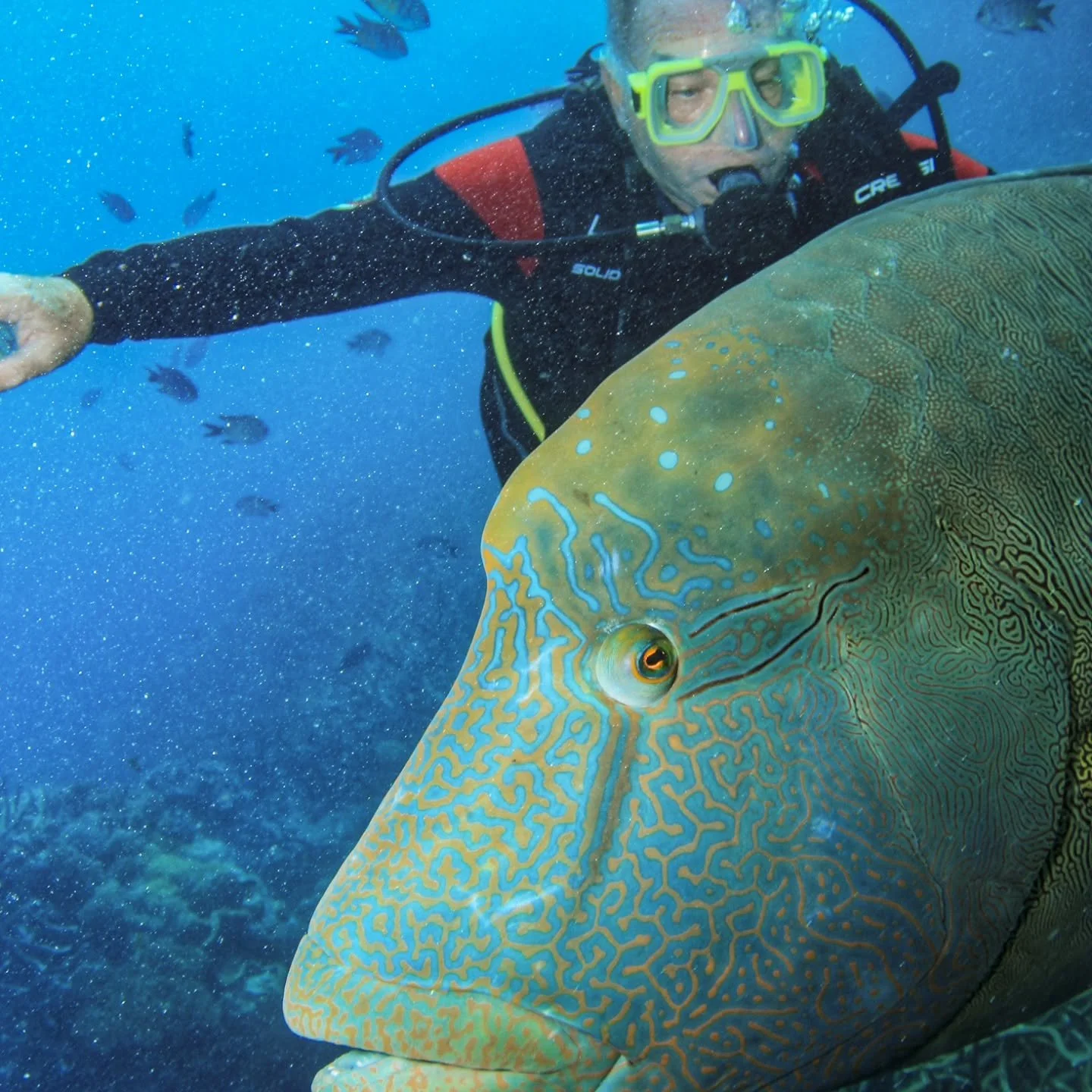 Pic of the day #47
Lyle scuba diving on the Great Barrier Reef.
We did a introductory dive and loved it so much we did our diving certificate. 
Our latest podcast is about Cairns which is the gateway to the Great Barrier Reef in Far North Queensland.