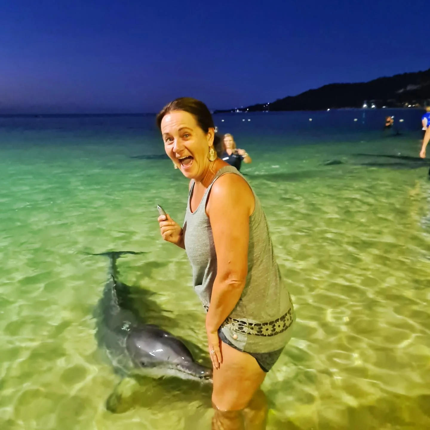 Pic of the day #56
I'm not sure what's more impressive about this photo - the fact that I got to hand feed a dolphin, or that Lyle took such a great photo!
This was at Tangalooma Island resort on Moreton Island, just off Brisbane.