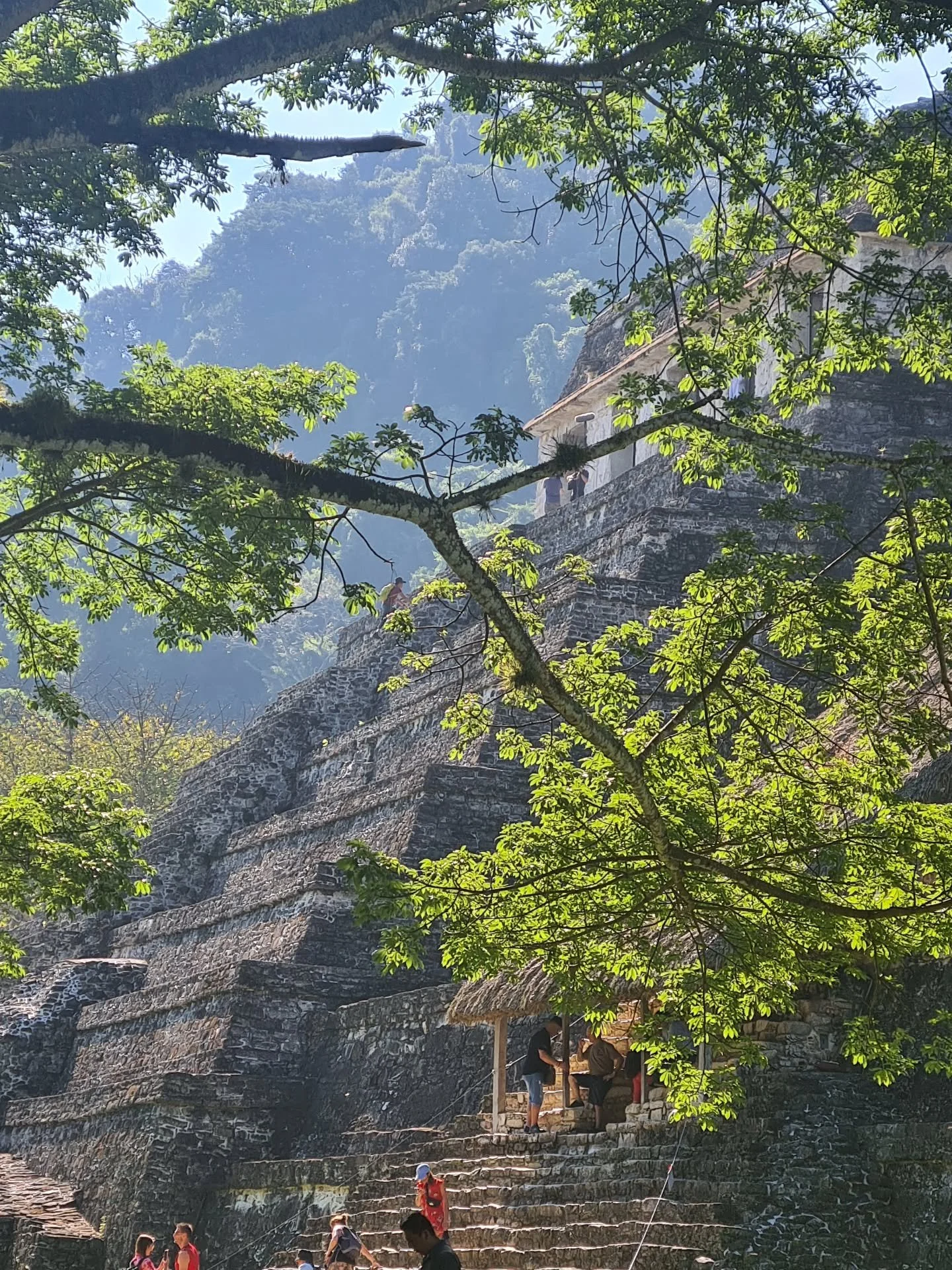 Pic of the day #74
We felt like we were in the middle of an Indianna Jones movie while we were exploring Palenque, a 1,300-year-old Maya city swallowed by the Mexican jungle.
