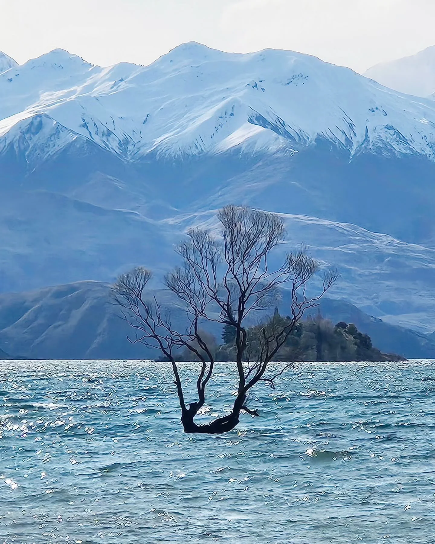 Pic of the day #91
That Wanaka Tree 
The most photographed spot in Wanaka and yes we took a few pics too!