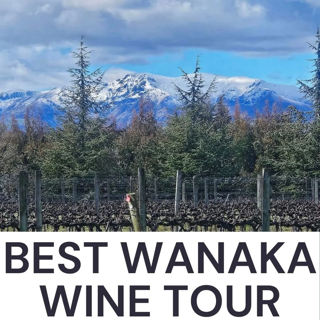 Wanaka Wine Tour - The best wine tour to do in Wanaka, Central Otago, New Zealand