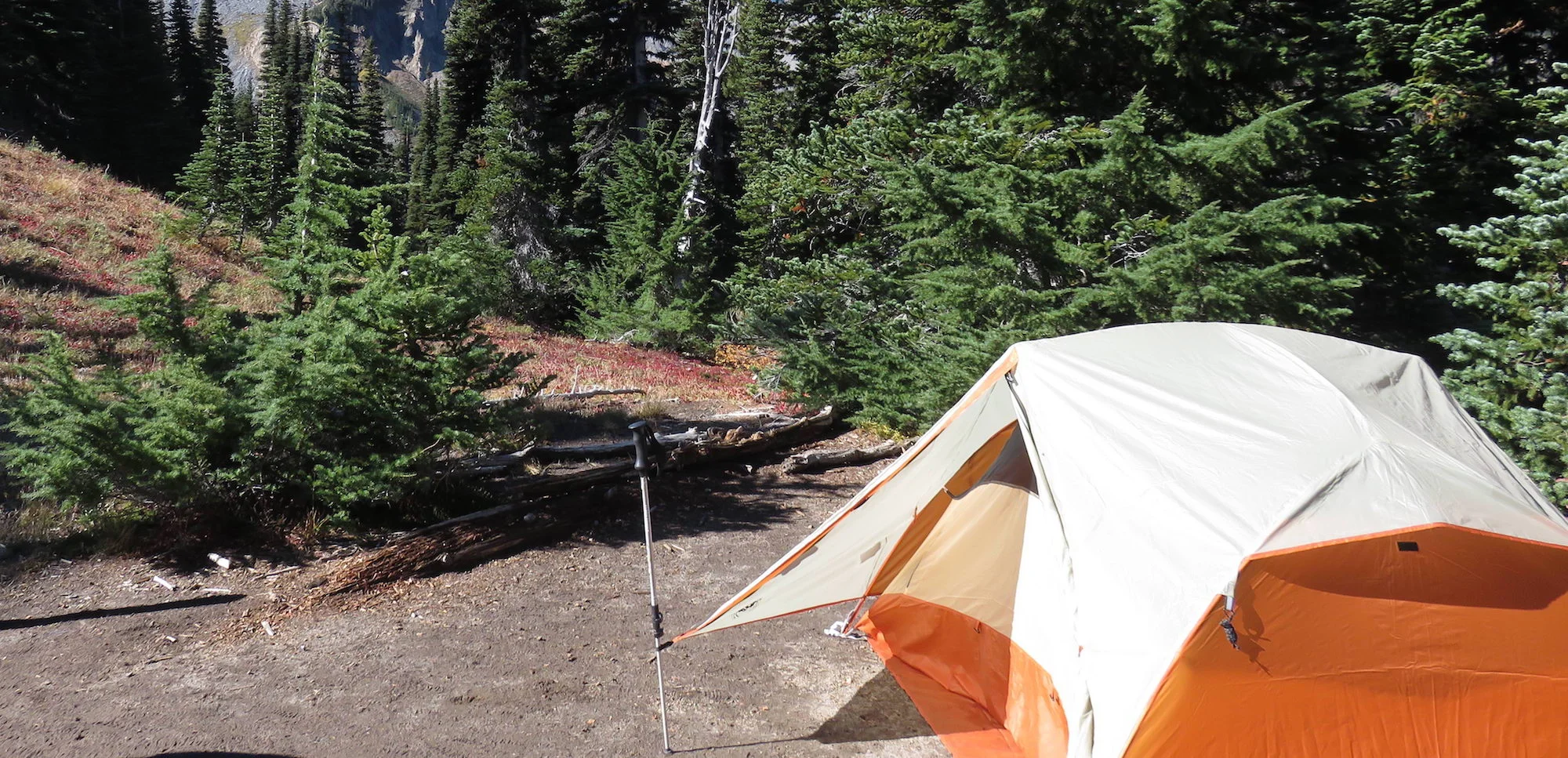 Copy of An outdoor campsite with an orange tent and trees