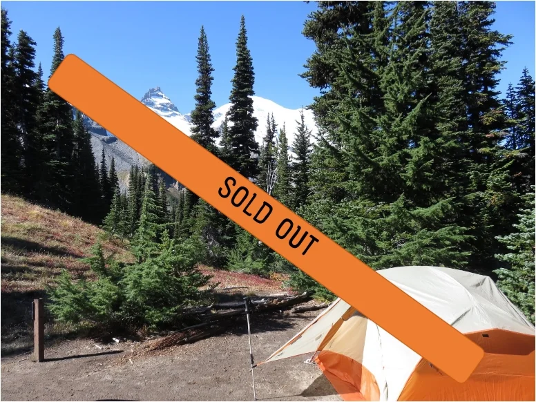 Outdoor dirt campsite with an orange tent surrounded by trees with a mountain in the background with snow on it