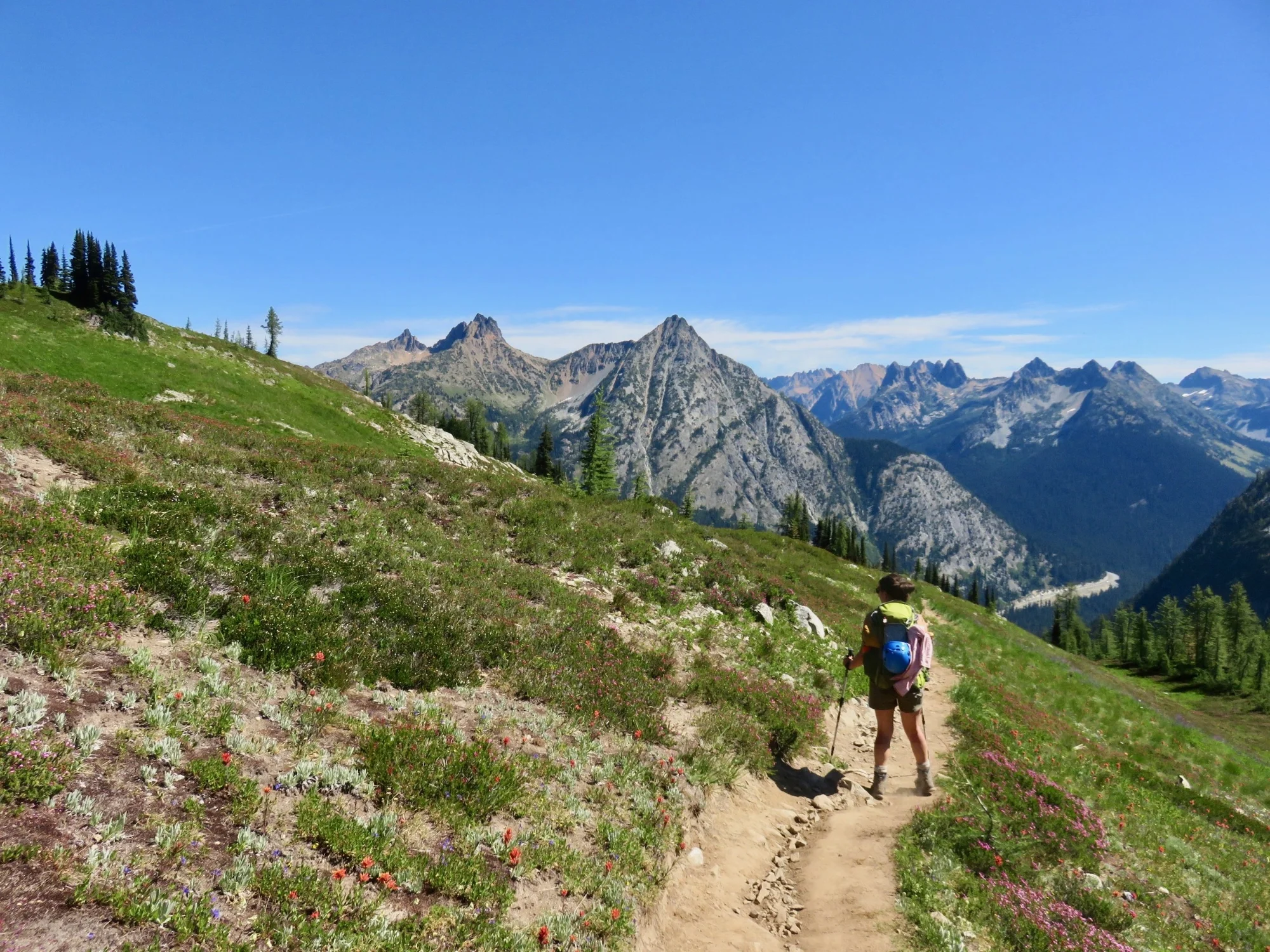 An outdoor dirt trail in a field of wildflowers with a women wearing a backpack and blue sky