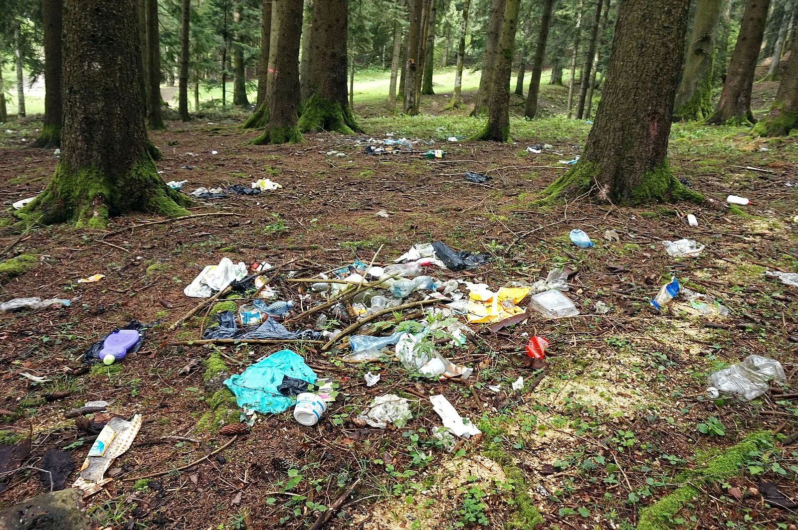 Multi-colored trash items on a forest floor surrounded by trees.