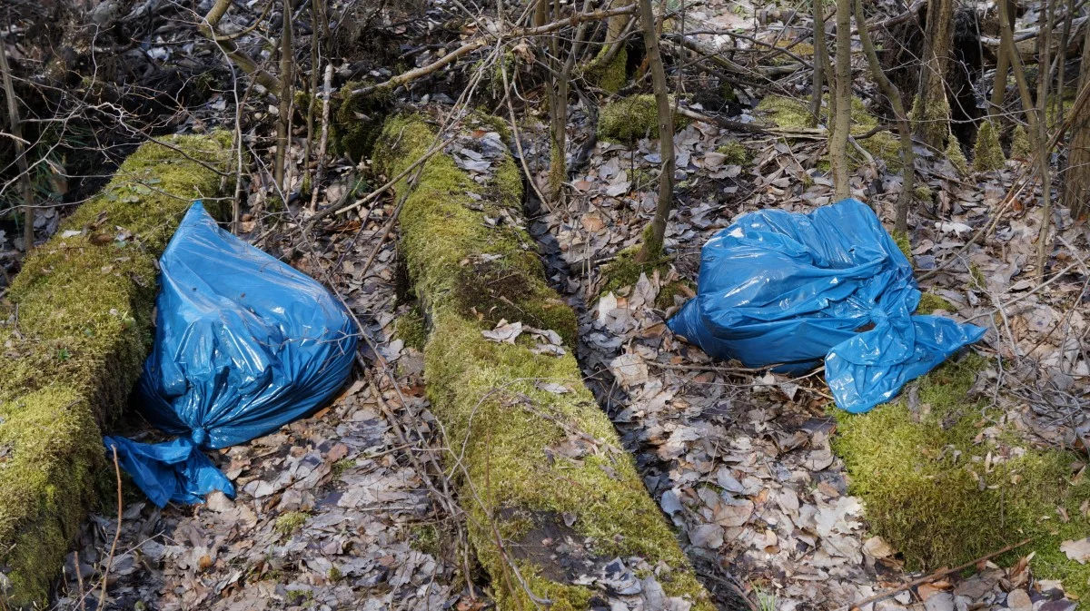 Multi-colored trash items on a forest floor surrounded by trees.