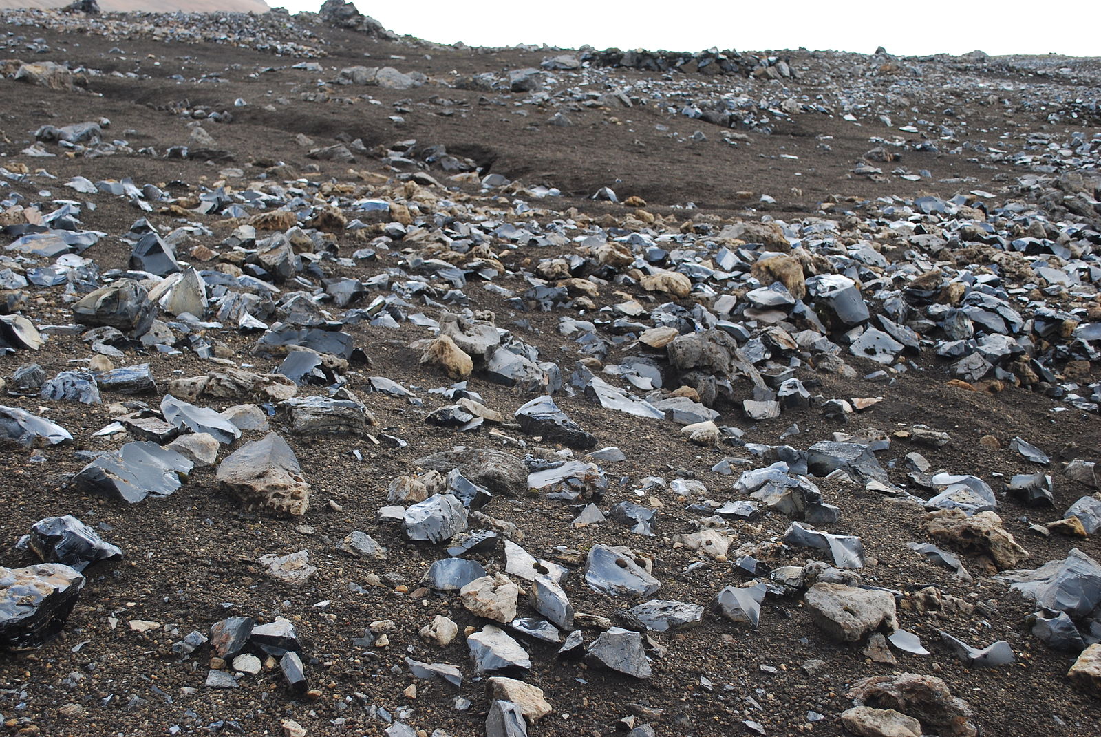 A field of obsidian stones on brown volcanic soil.