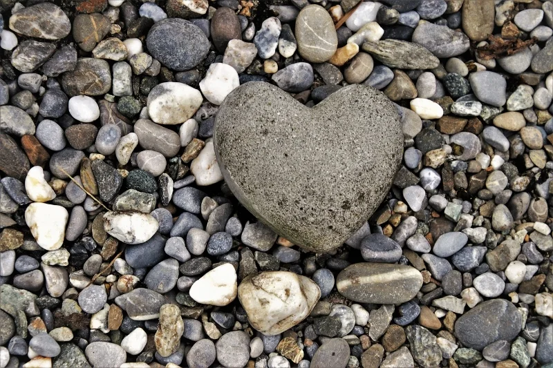 Heart shaped rock against a field of smaller rocks