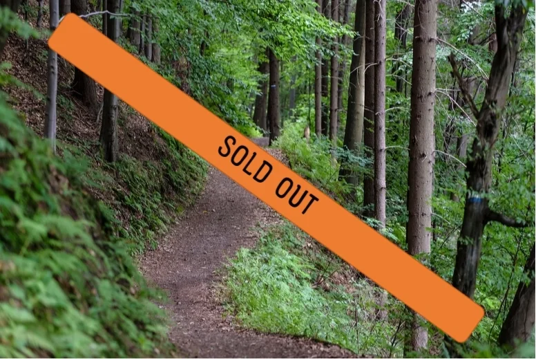 Outdoor dirt hiking trail surrounded by trees and bushes