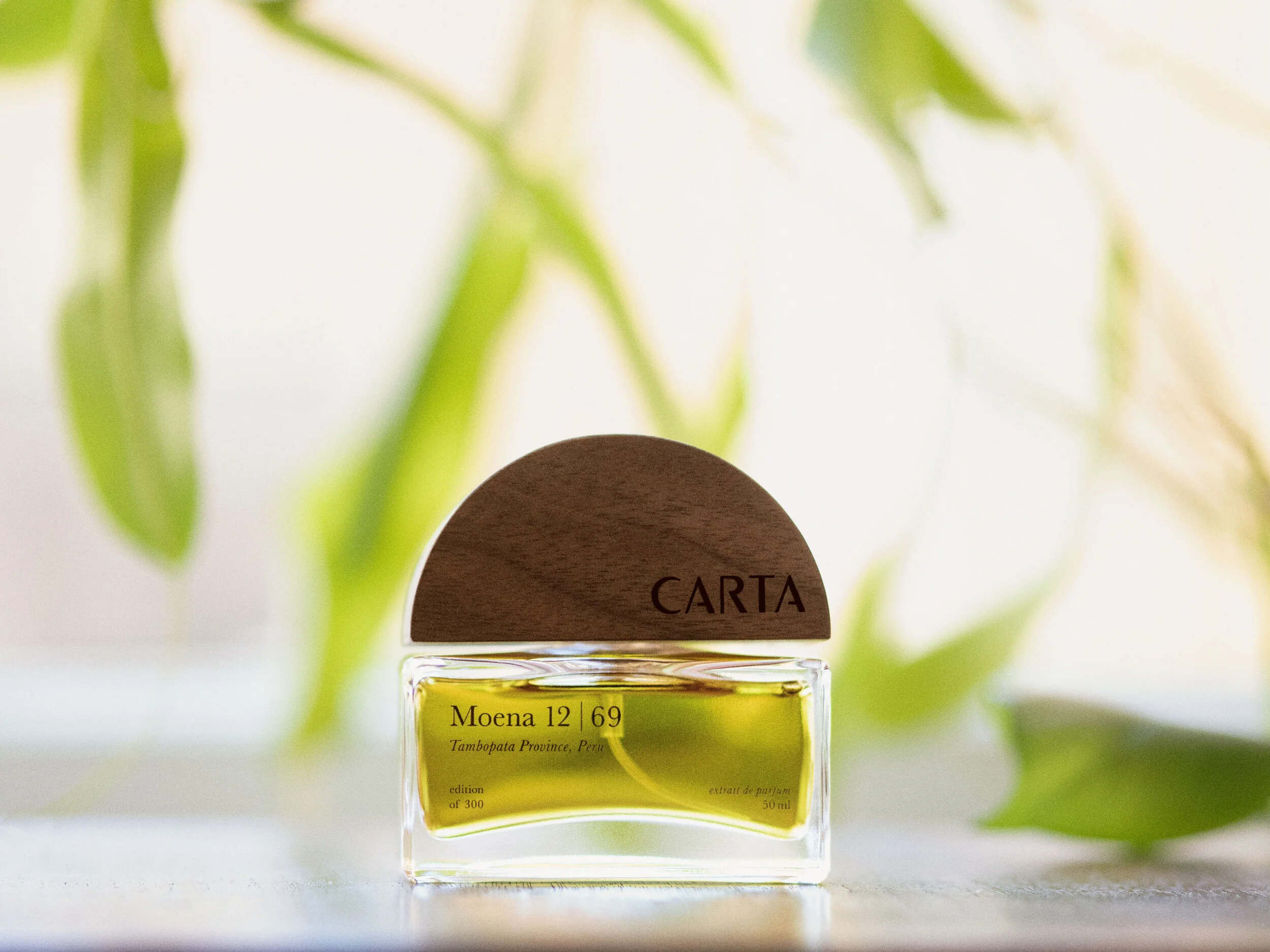 Carta Fragrance