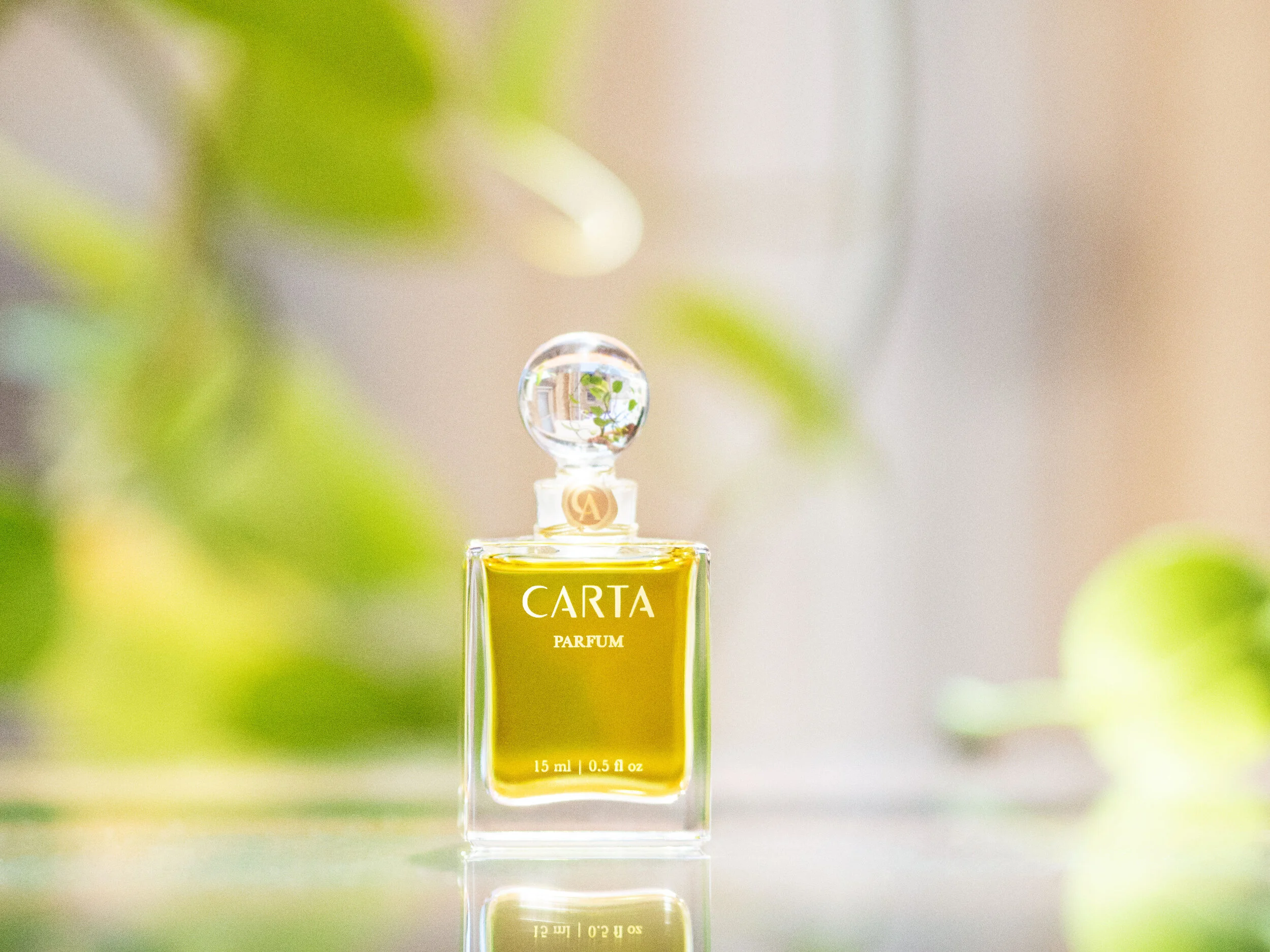 Carta Fragrance
