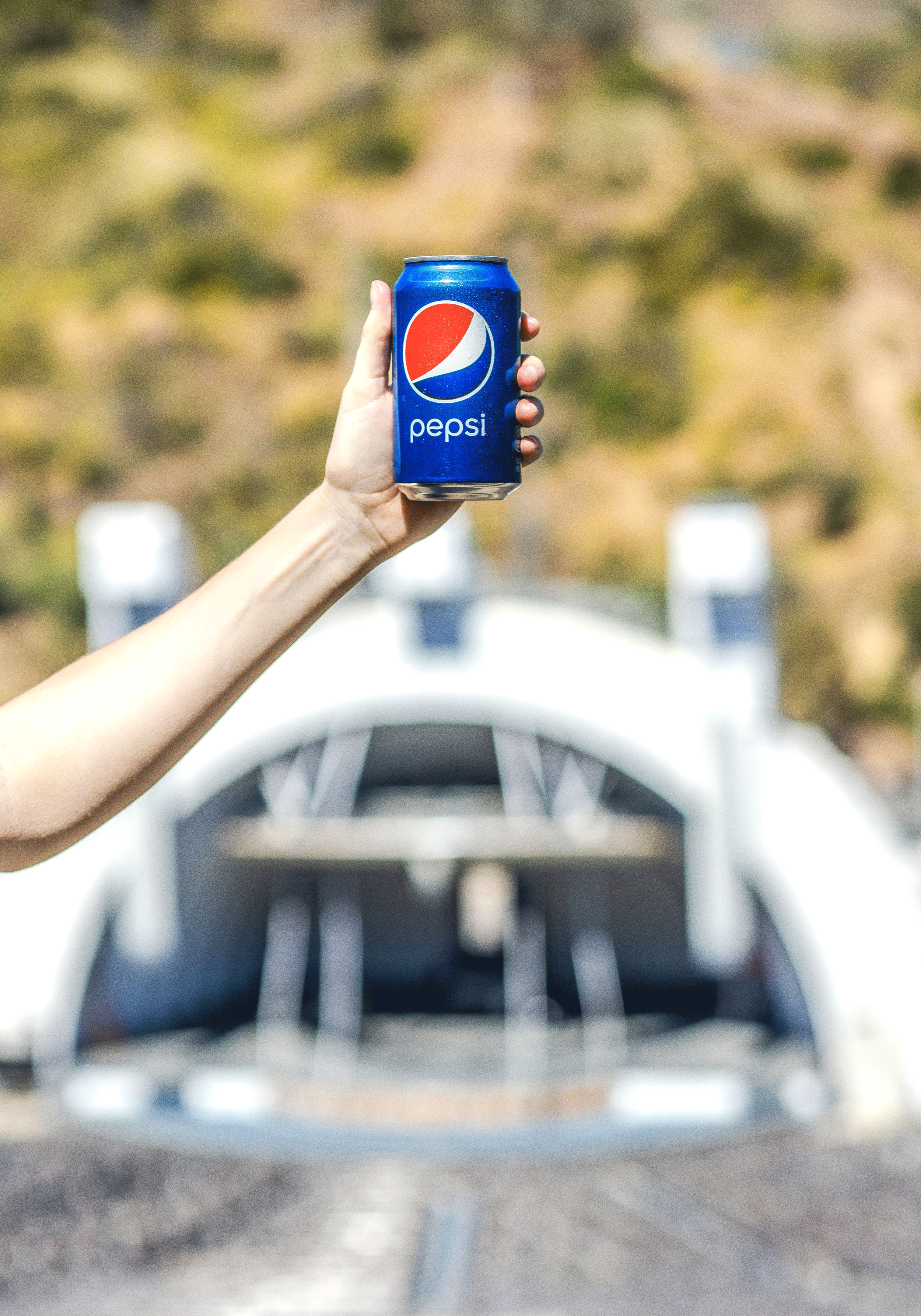 LA Phil / Hollywood Bowl