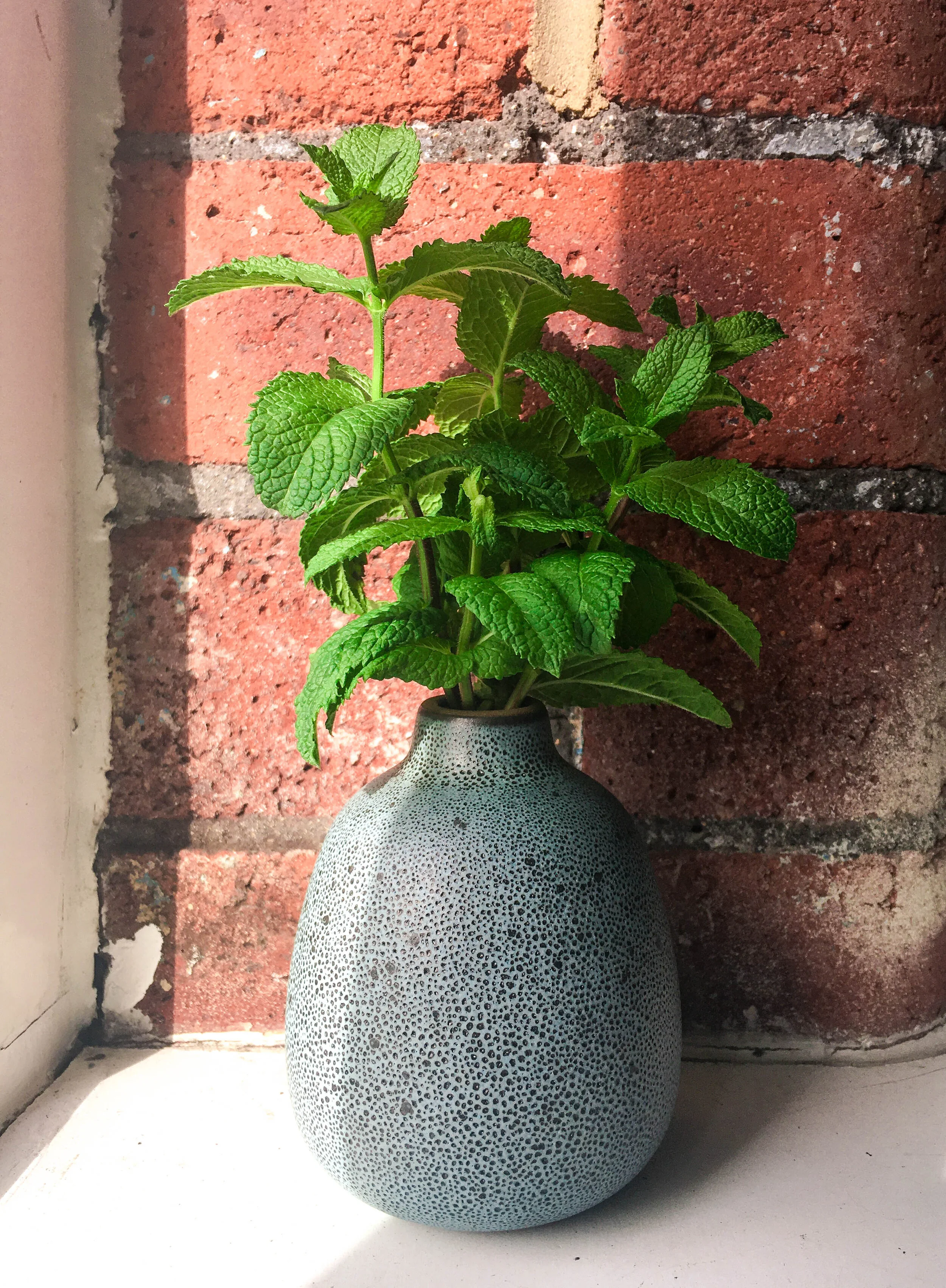 Mint Bouquet: The cheap, low maintenance, herb/decor that won't let you down