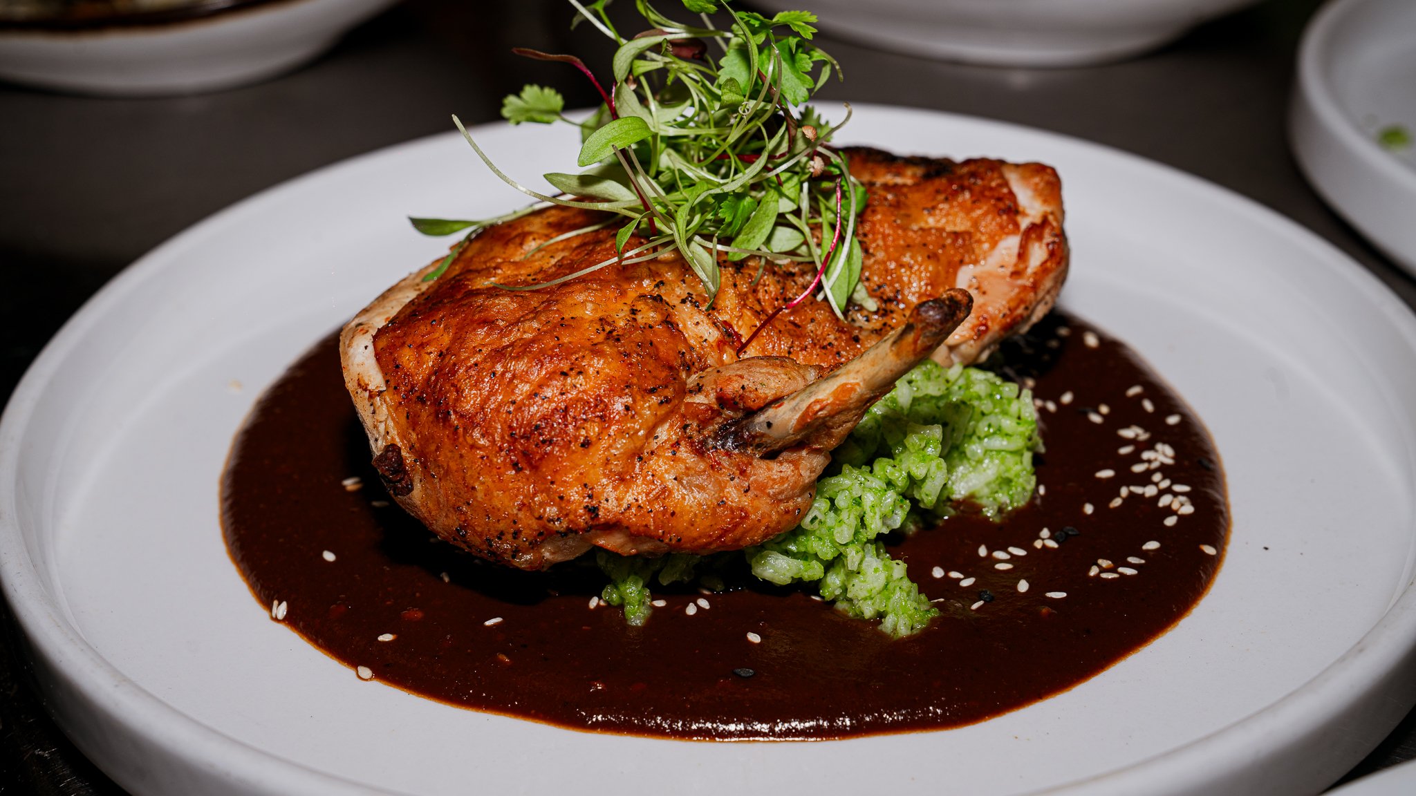 MOLE de POLLO CAMPESTRE / Free Range Chicken in Mole sauce