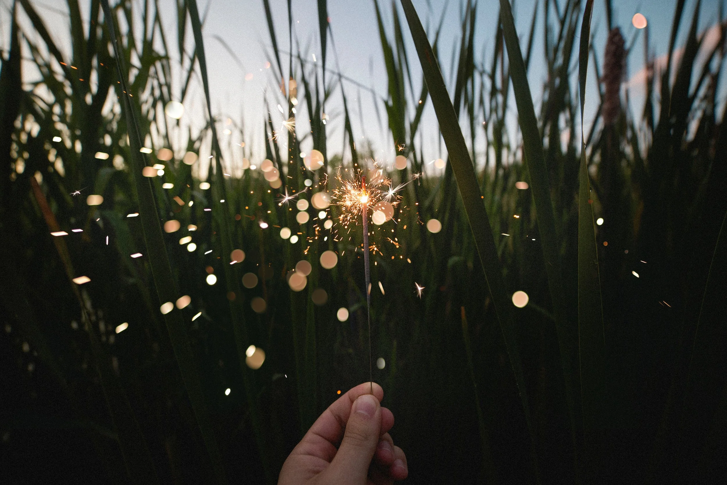 sparkler-in-field.jpg