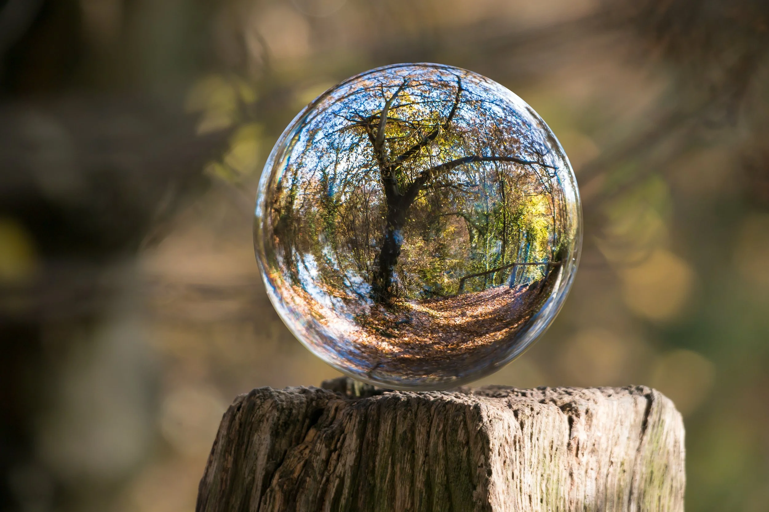 Magnification