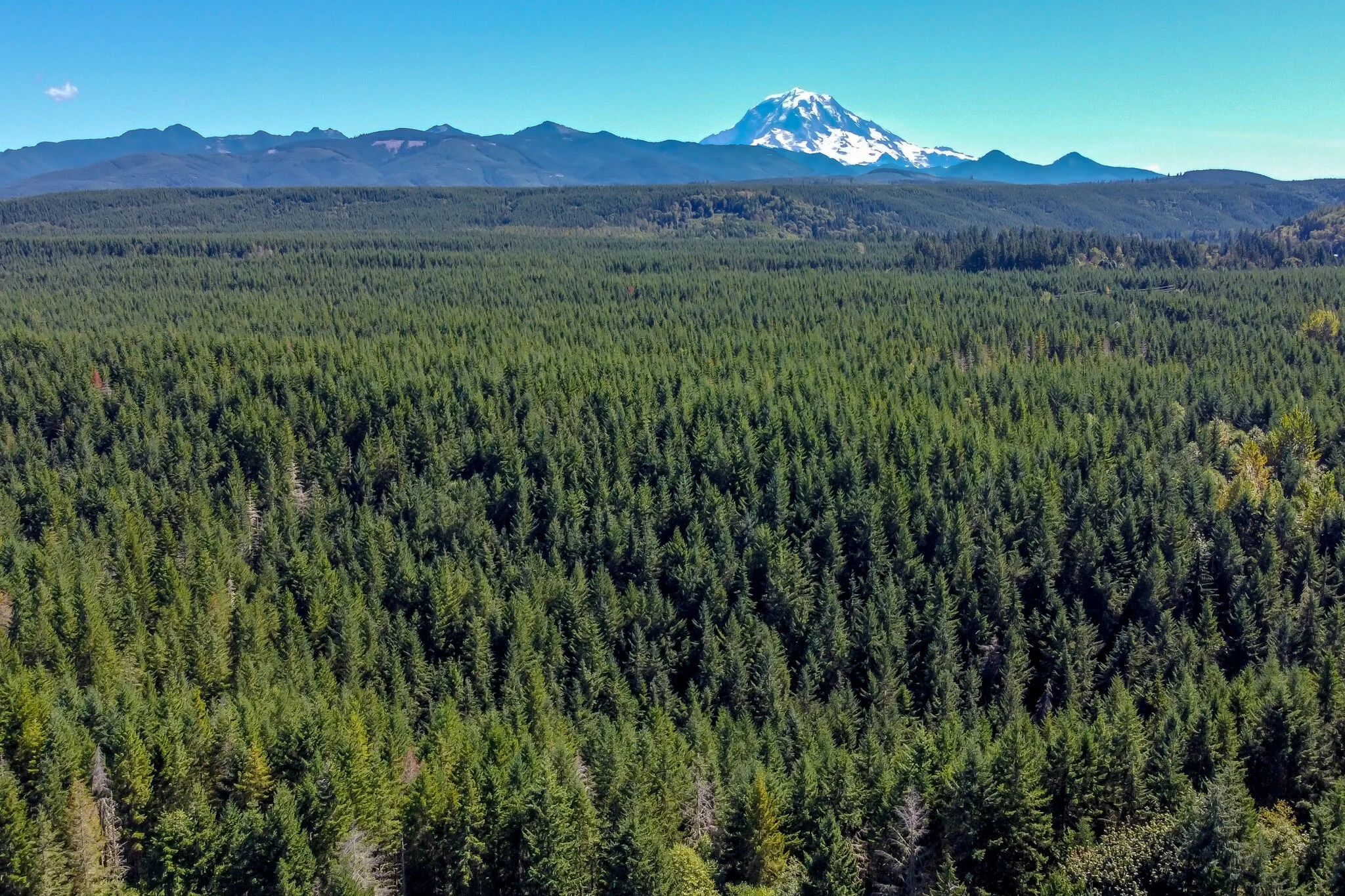 DJI_0541.jpg