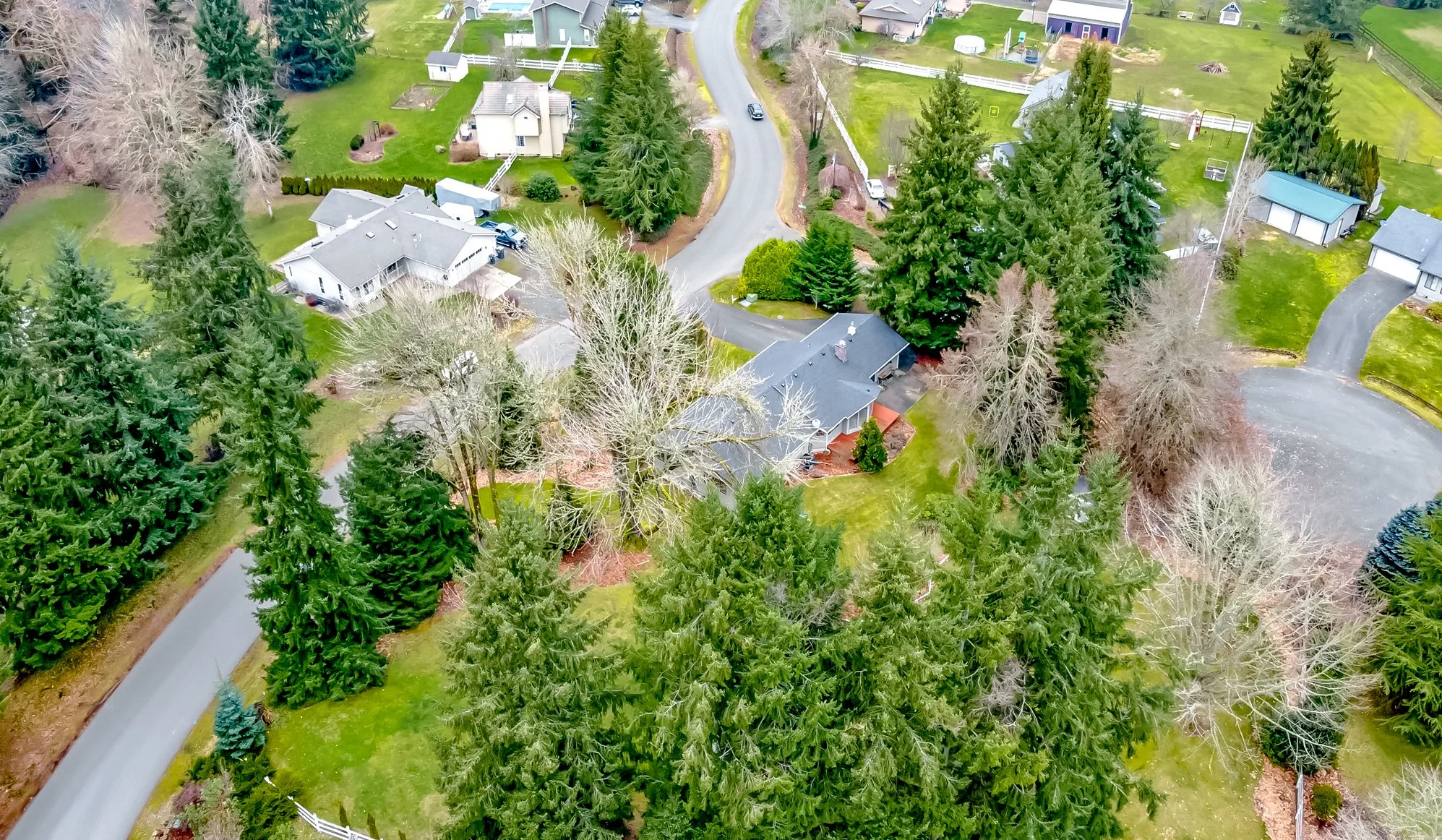 DJI_0020.jpg