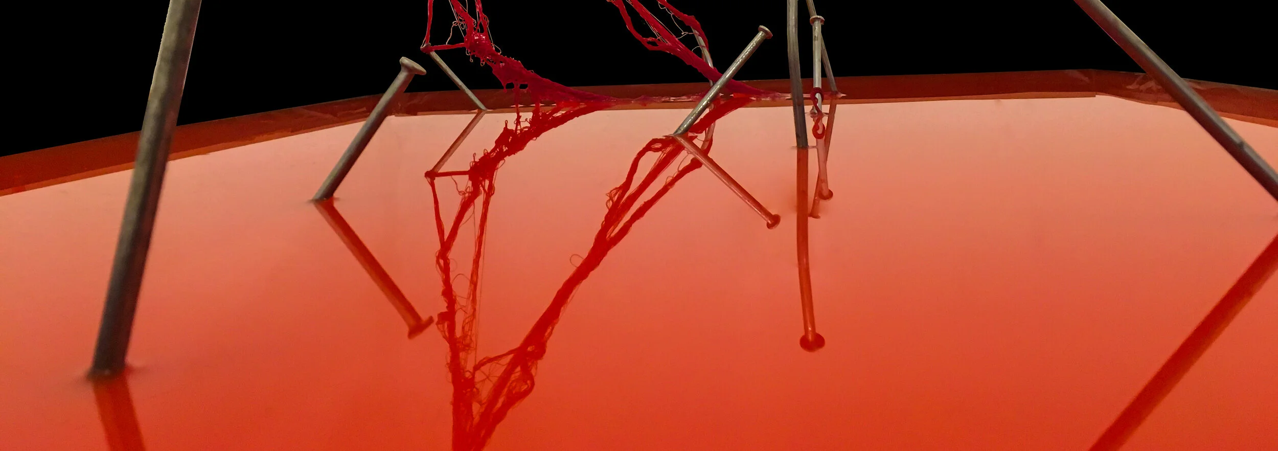 Hatch /hatʃ/ - By: Alejandra Lena Becerra Draghi 