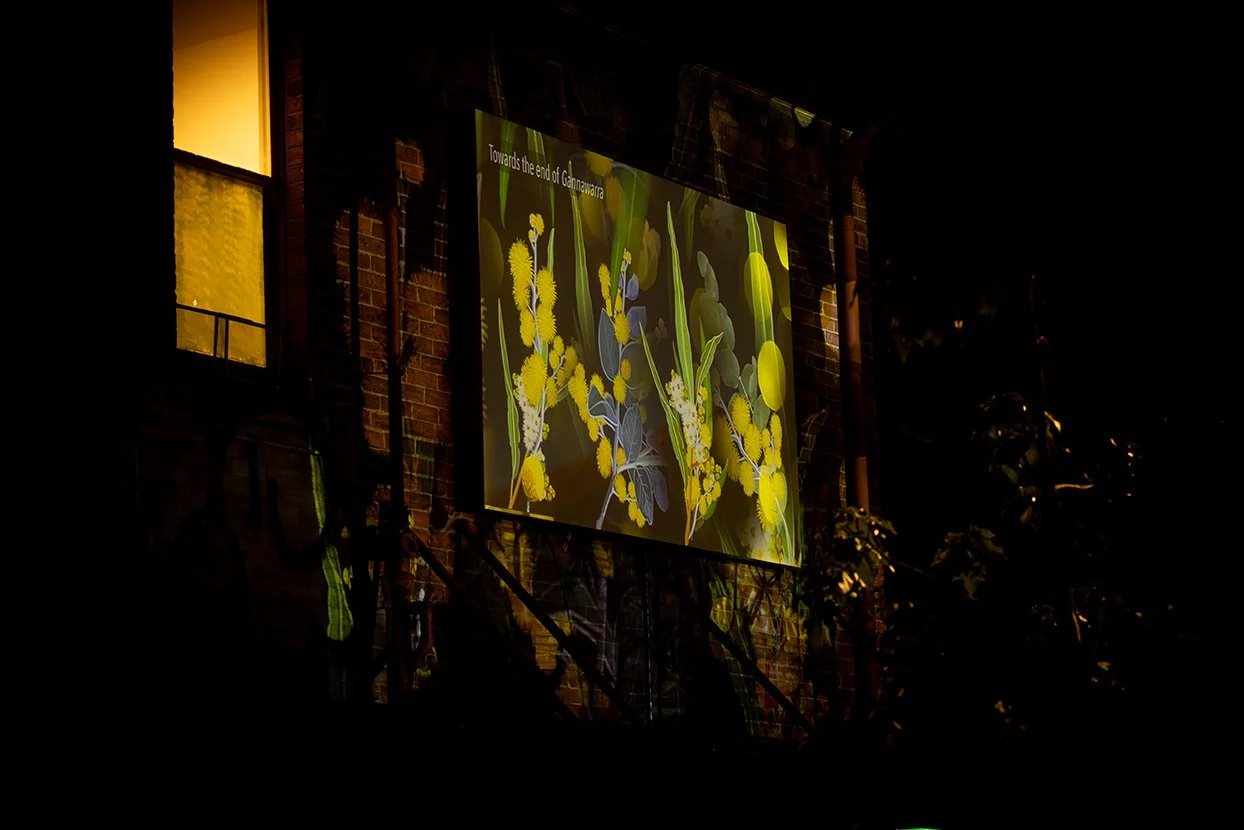 Winter Windows_Tom Noble Creative_second gallery-112.jpg
