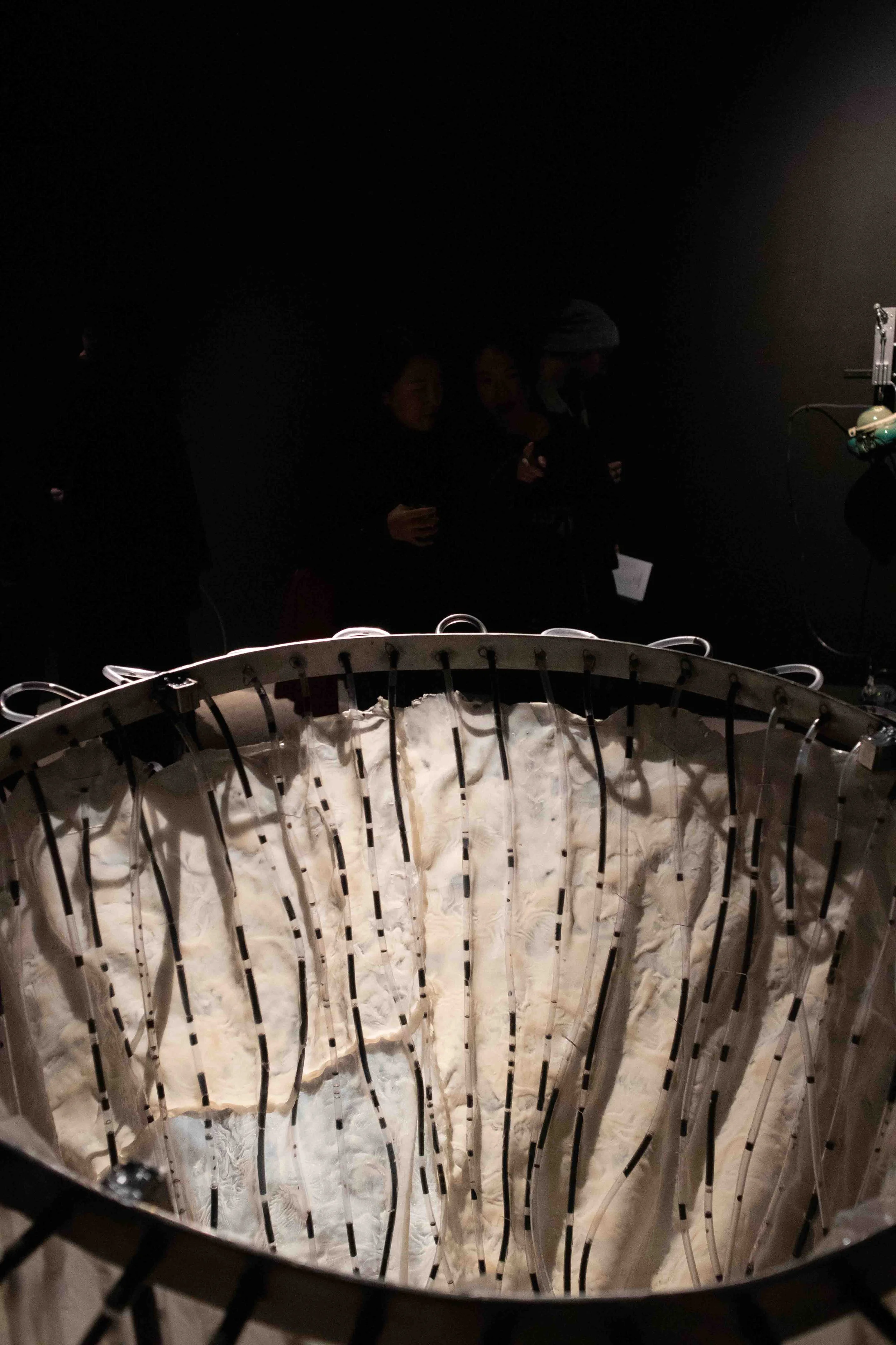 Blak_Dot_Opening_11_04_2026_SMALLFILE (15 of 16).jpg