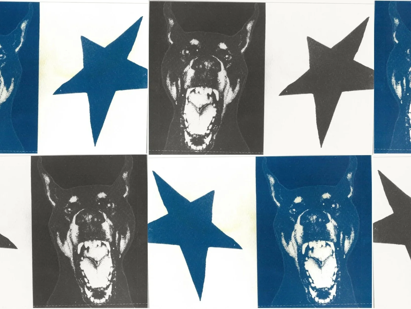 Artist floor talk + Cyanotype workshop with Peta Duncan