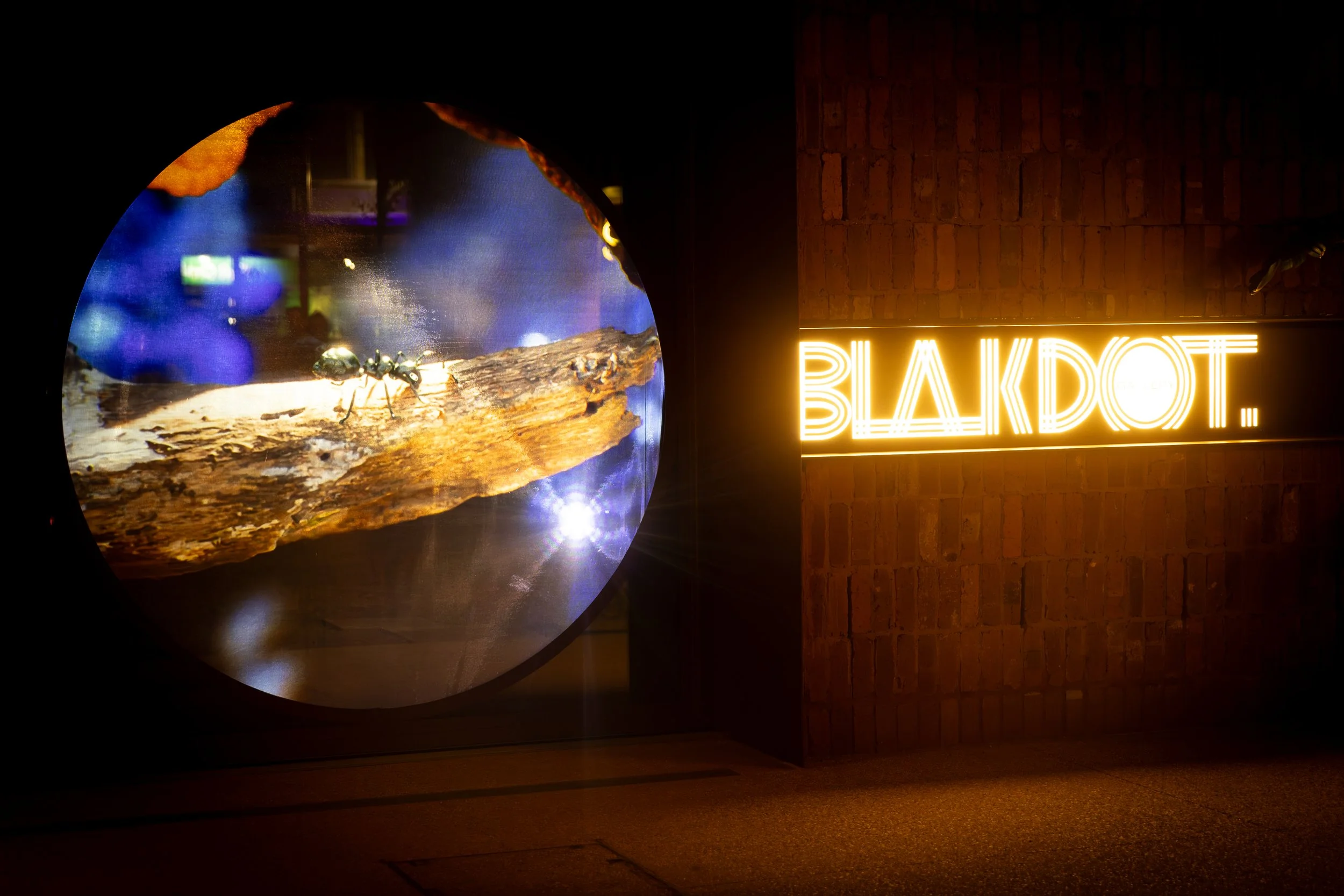 🎥 Round the Block: Winter Screenings Artist          Call-out 2026