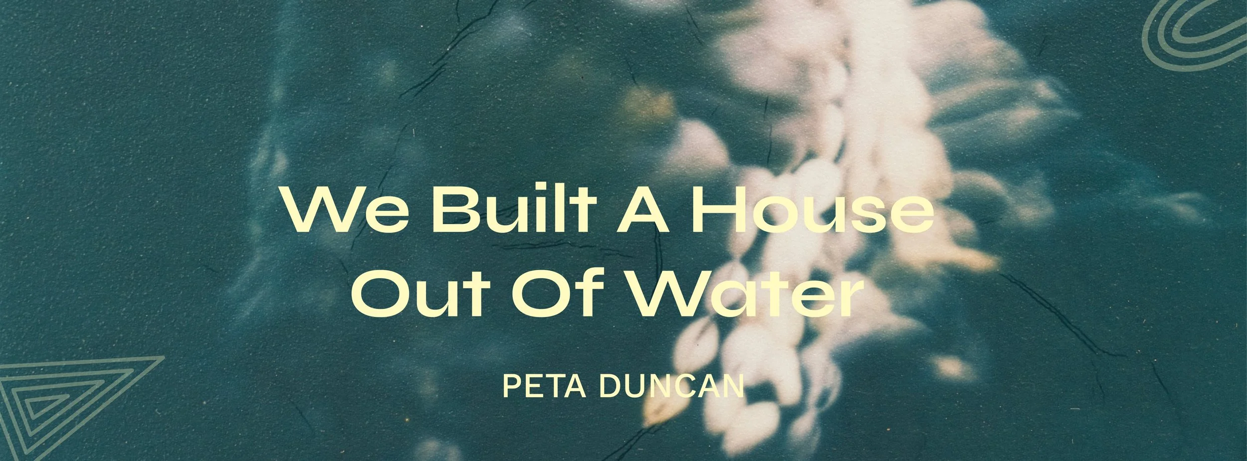 We Built A House Out Of Water