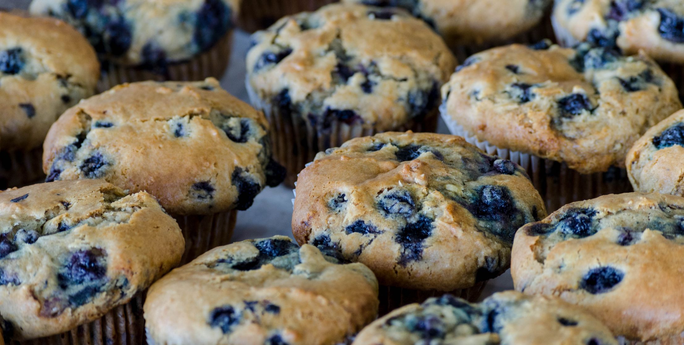 Blueberry Muffins from Broadway Daily Bread at Alamo Heights.jpg