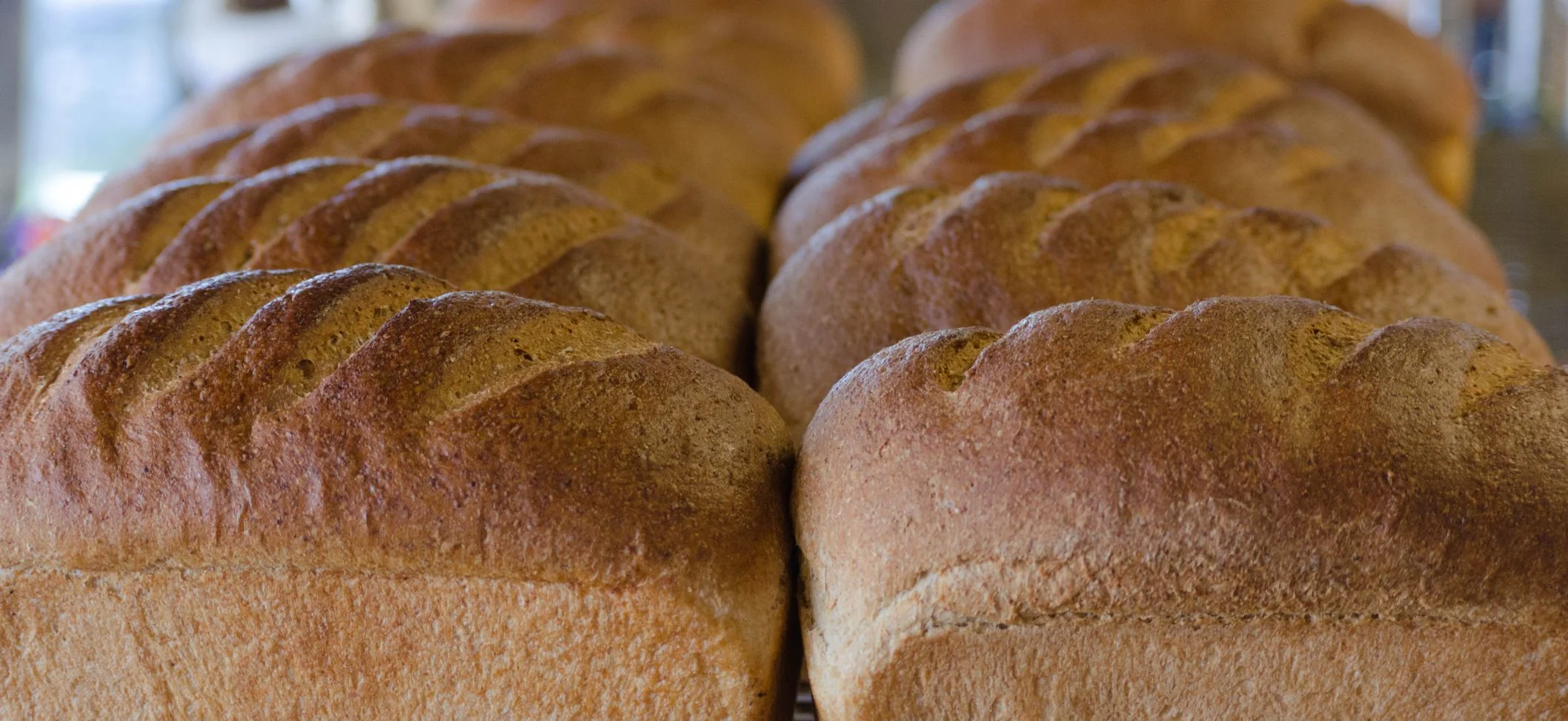 Honey Whole Wheat Bread from Broadway Daily Bread at Alamo Heights.jpg
