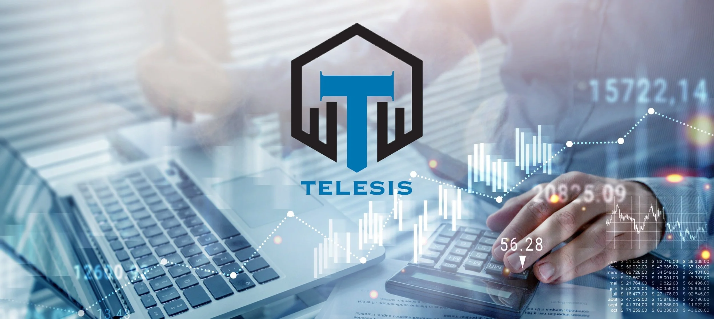 Logo_Telesis_2025 copy.jpg