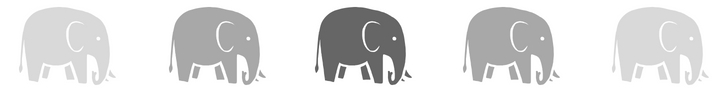 Elephant Banner.jpg