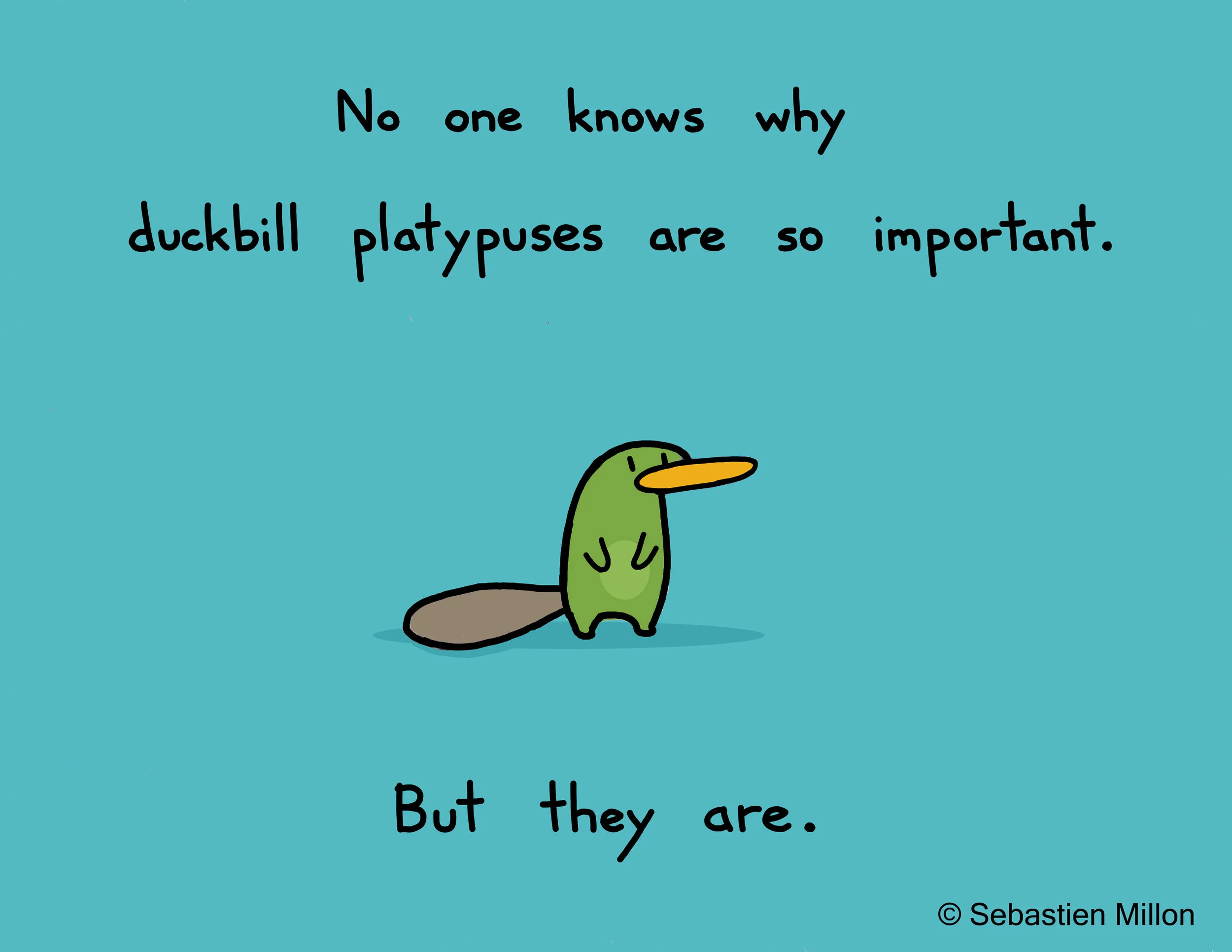 Duckbill Platypus