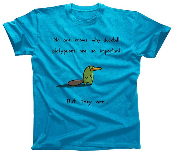 duckbillturquoise.jpg