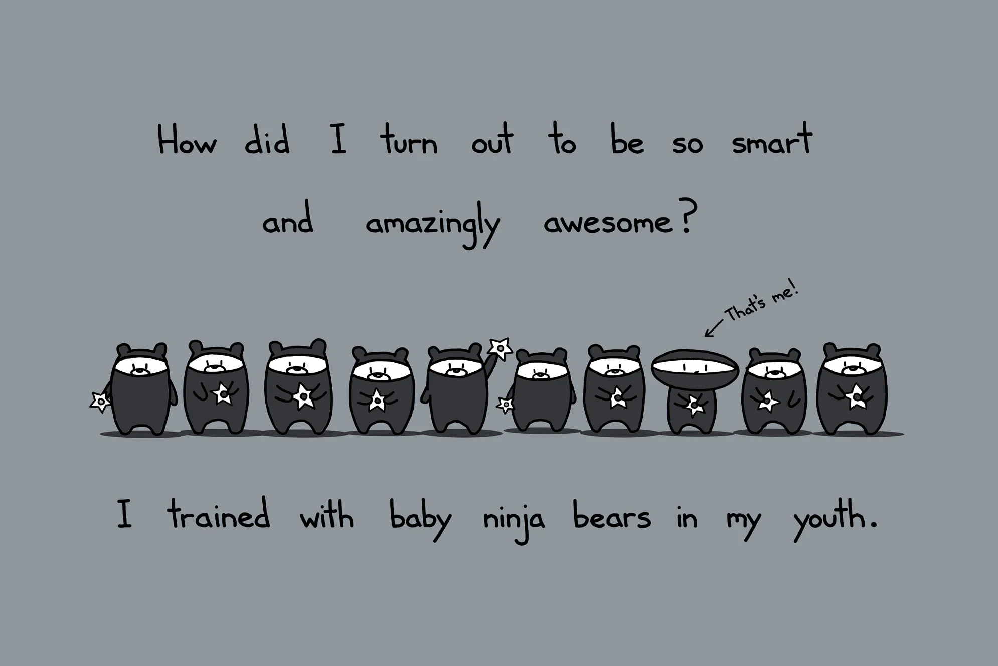Baby Ninja Bears