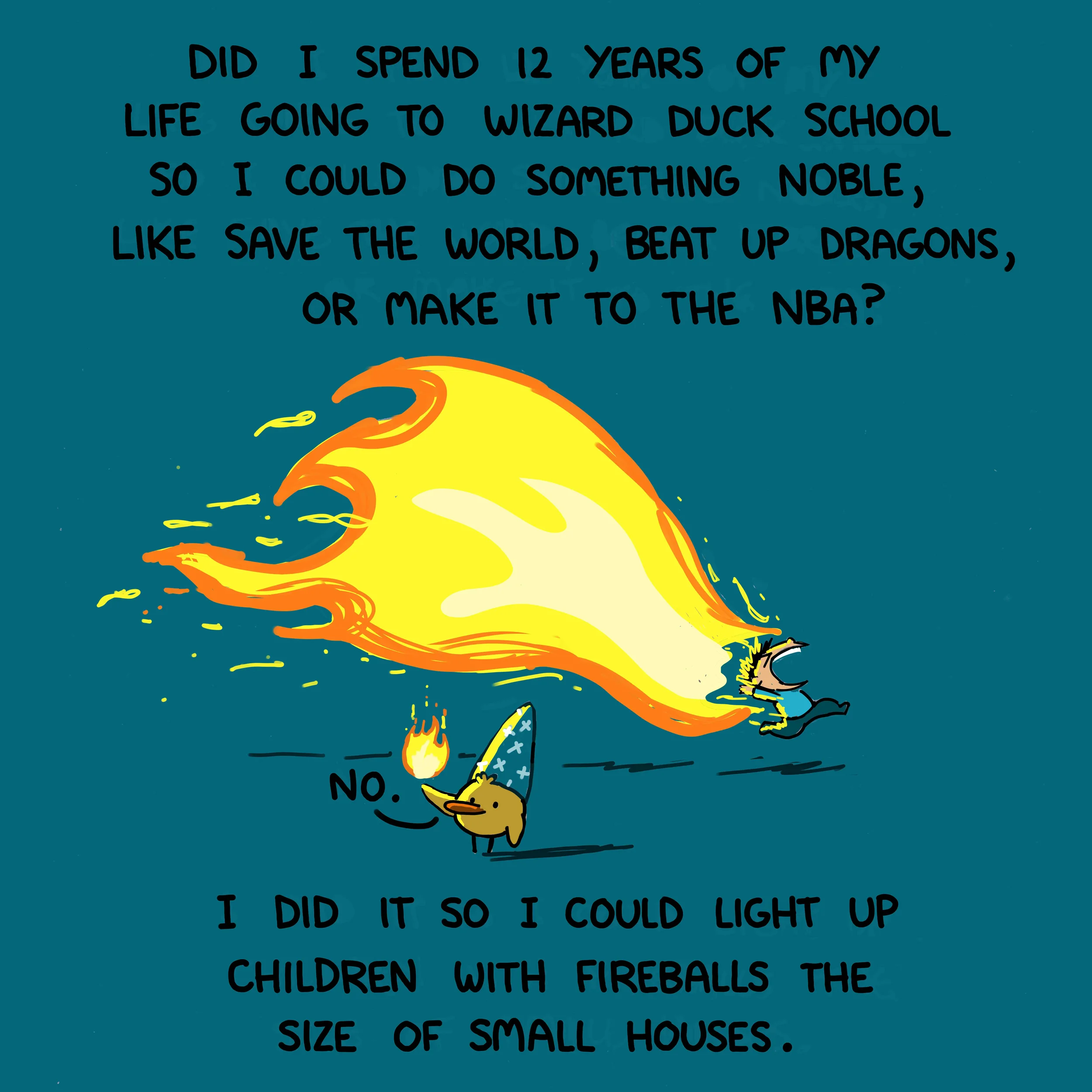 Wizard Duck School