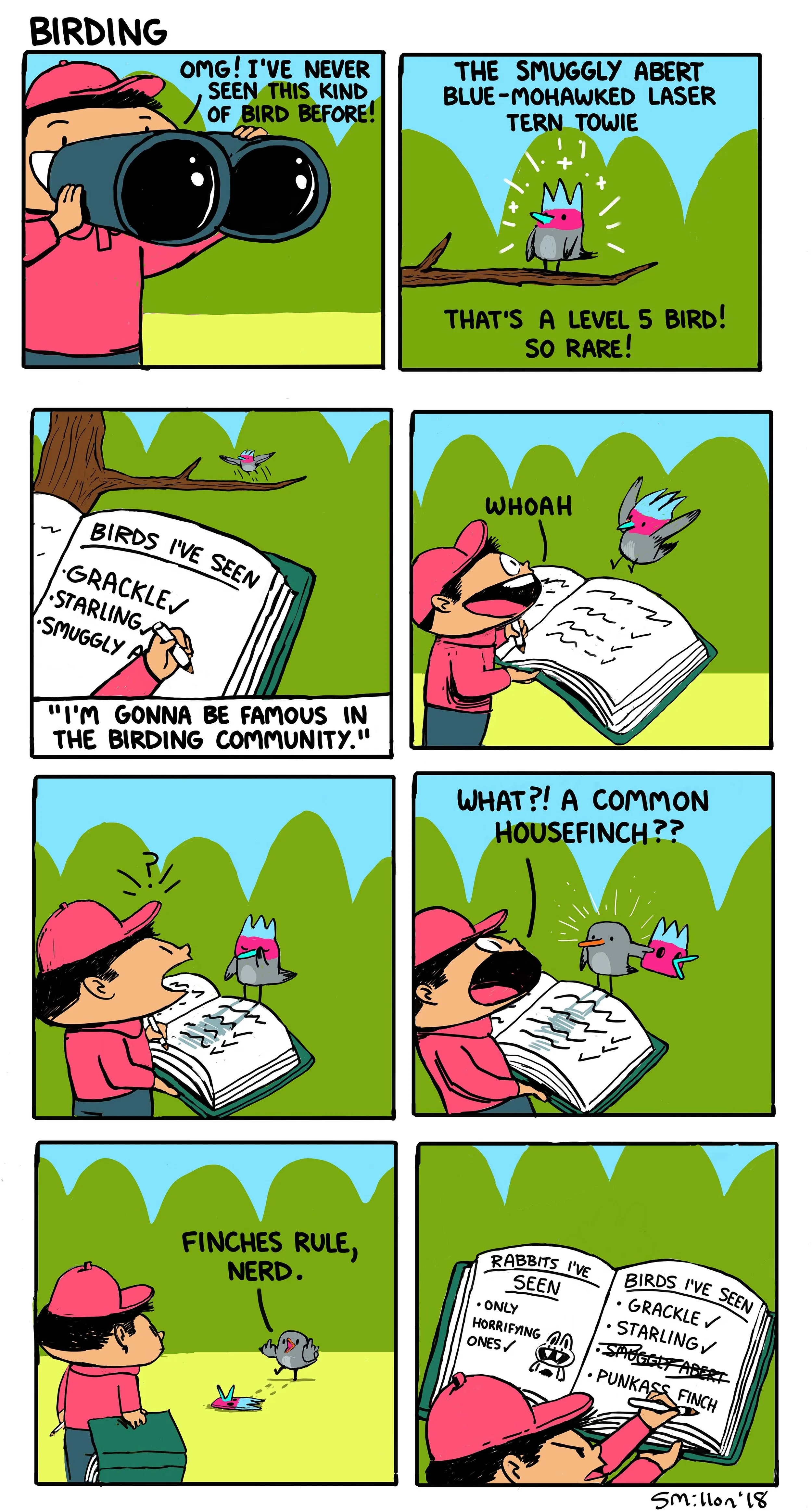 Birding