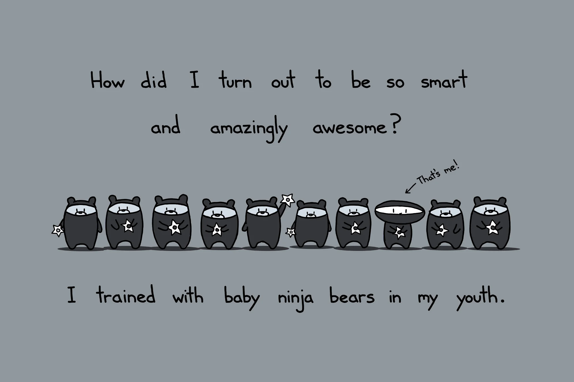 Baby Ninja Bears