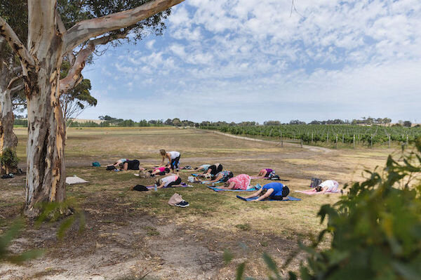 Yoga-at-Bellarine-Estate-Winery-Victoria.jpg